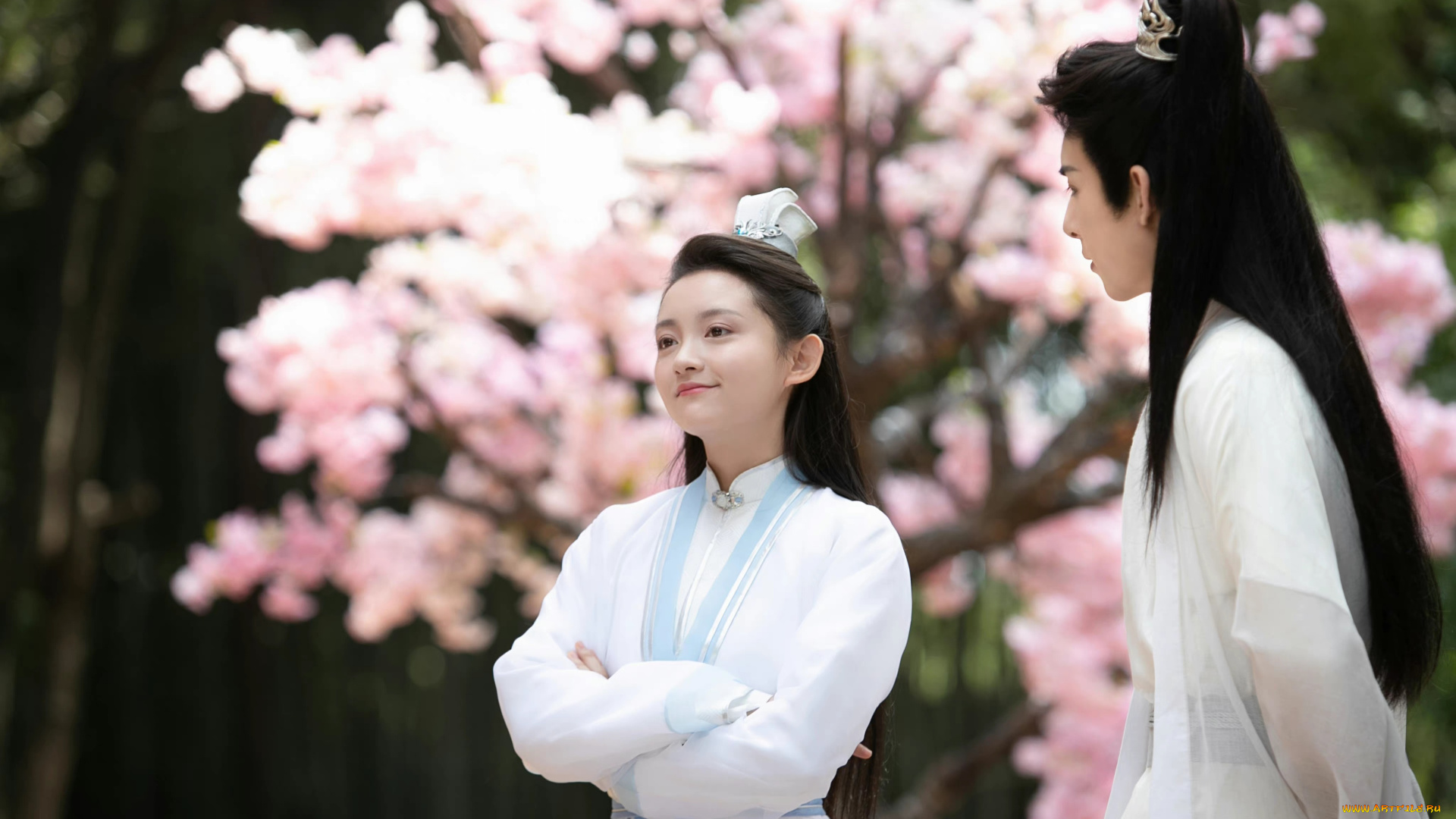 кино, фильмы, stick, to, the, script, следуй, сценарию