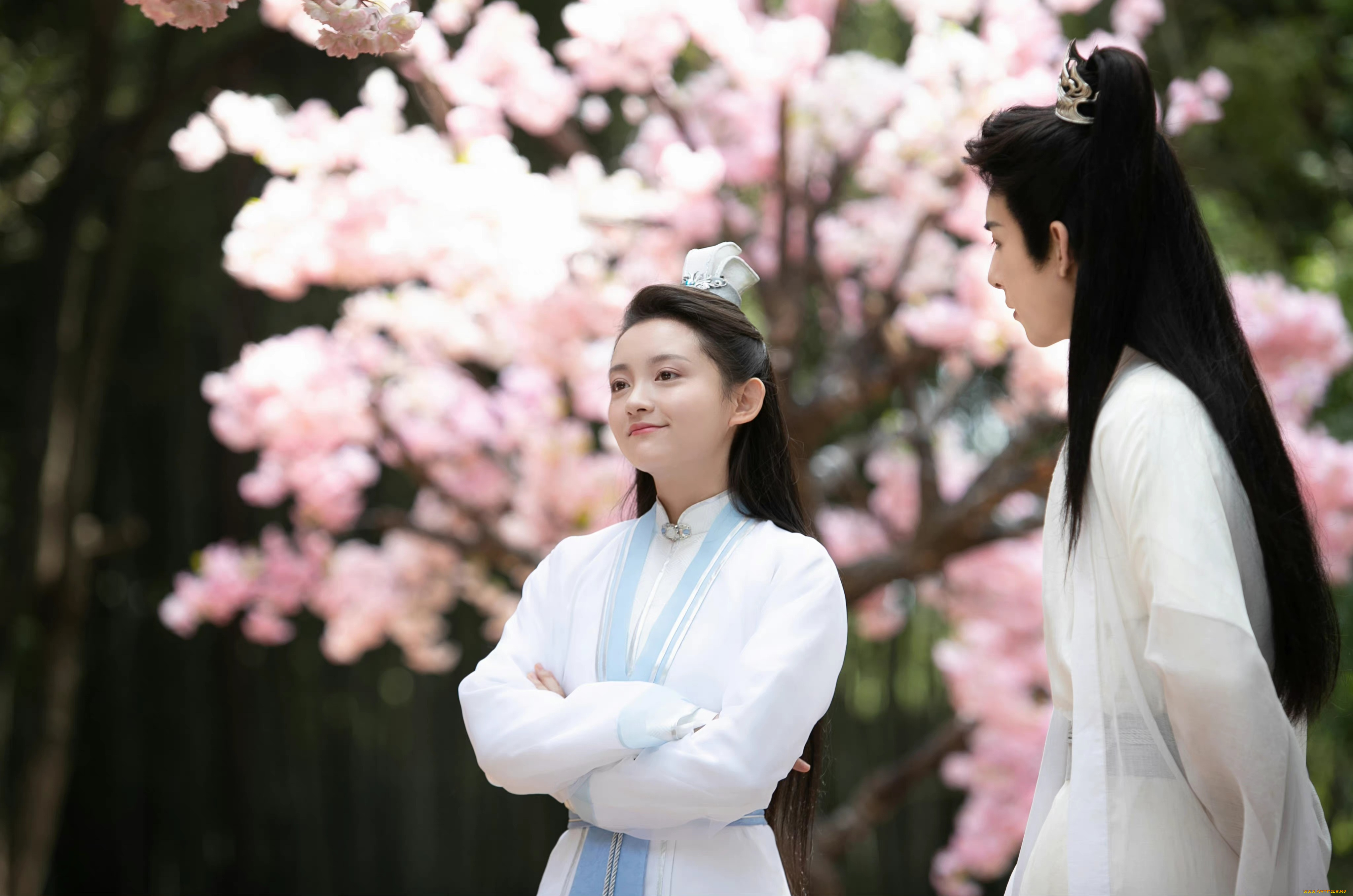 кино, фильмы, stick, to, the, script, следуй, сценарию