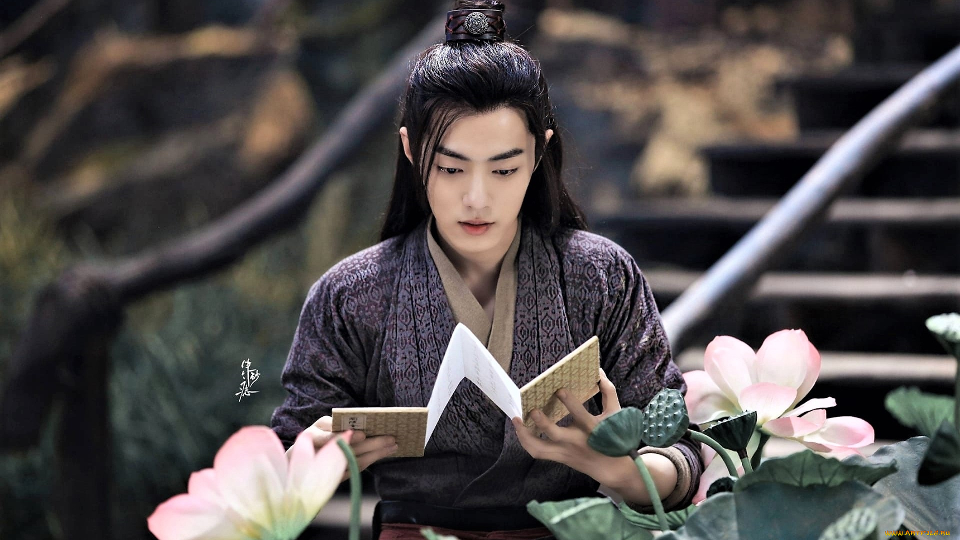 кино, фильмы, the, untamed, лотосы, чтение, ступени