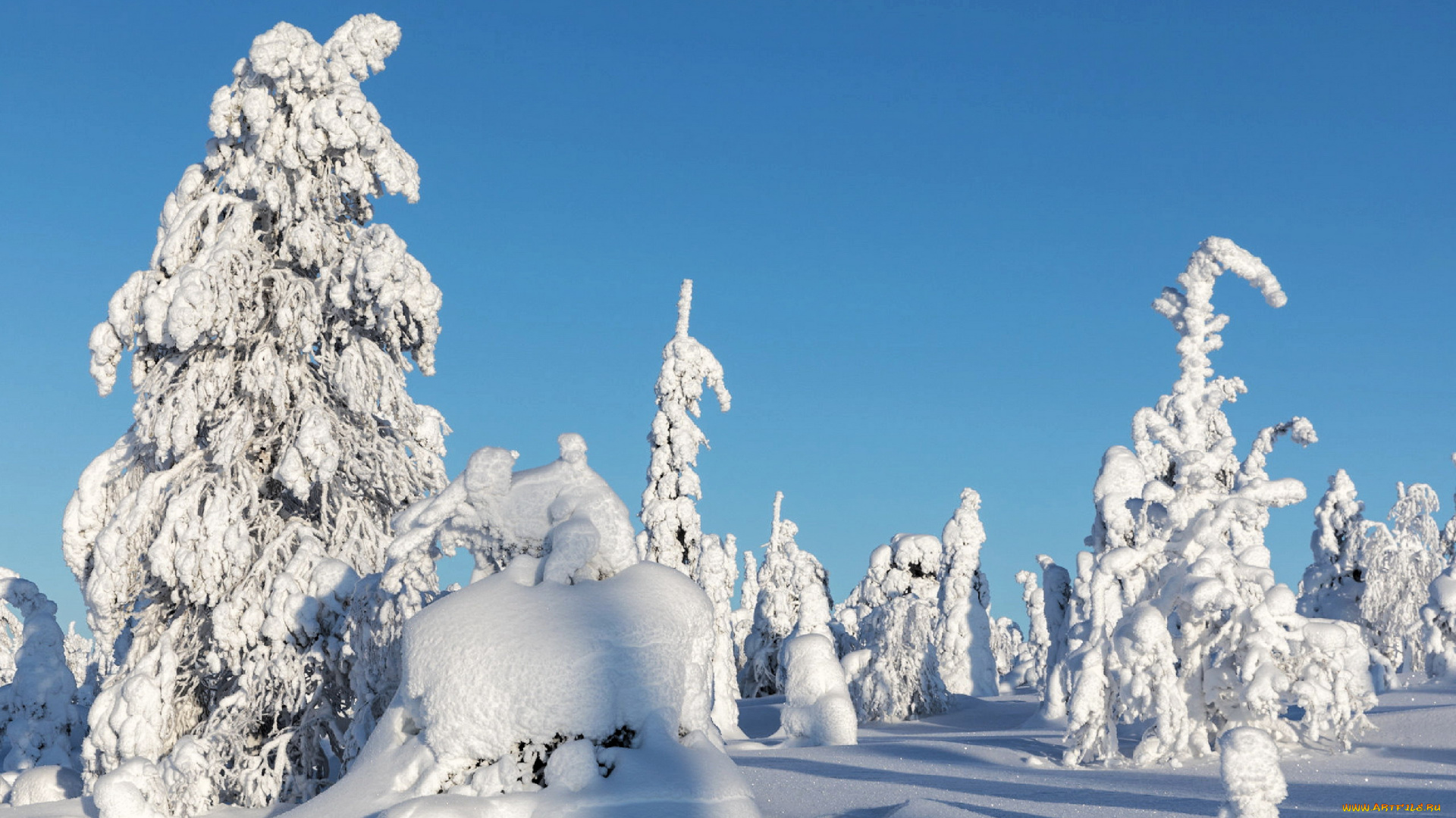 природа, зима, деревья, сугробы, снег