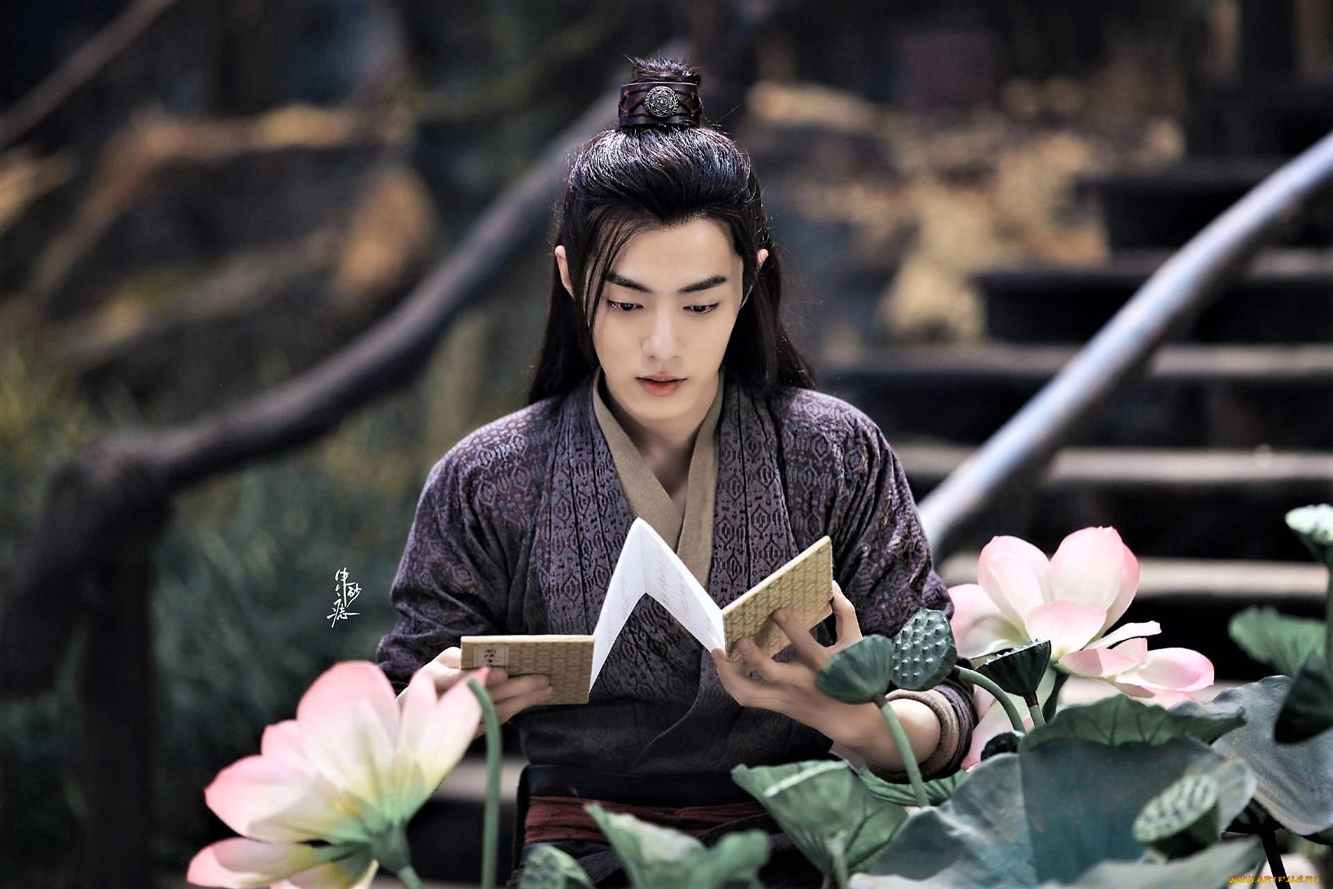 кино, фильмы, the, untamed, лотосы, чтение, ступени