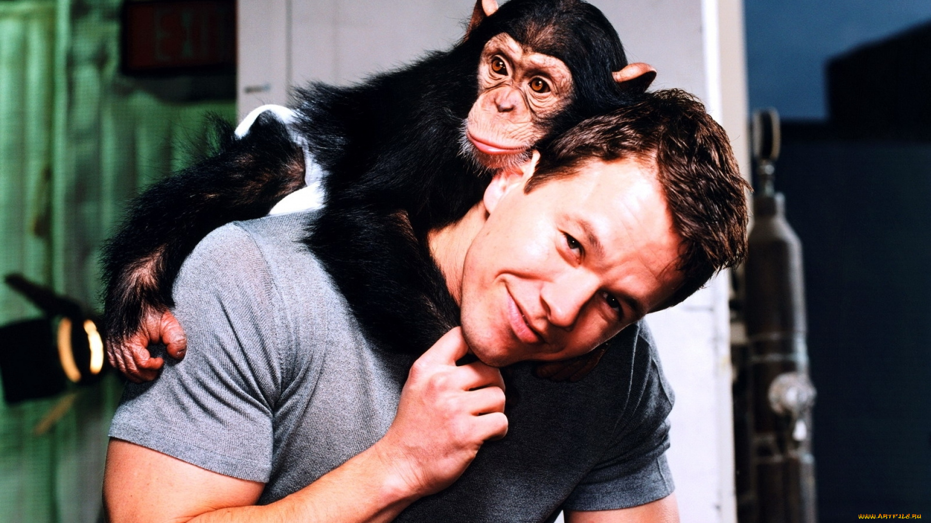мужчины, mark, wahlberg, актер, обезьяна