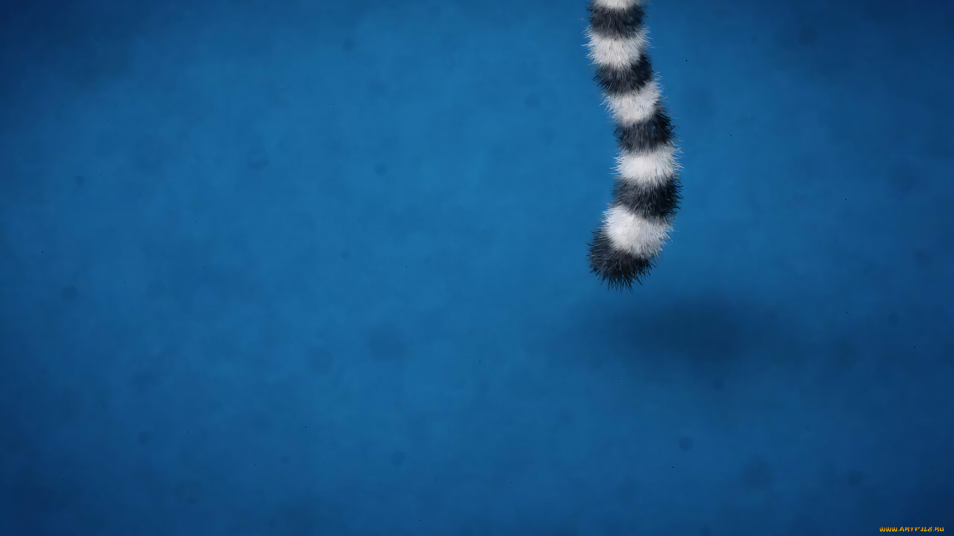 рисованное, vladstudio