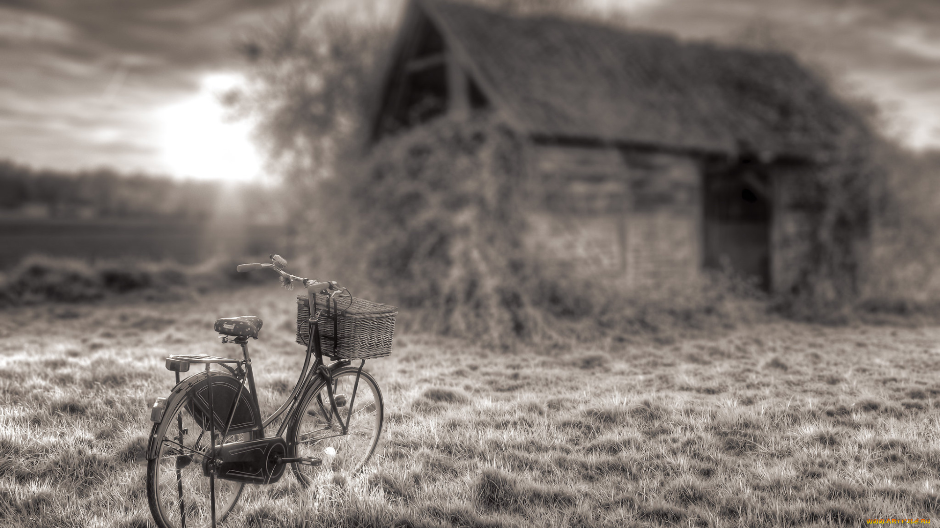 техника, велосипеды, велосипед