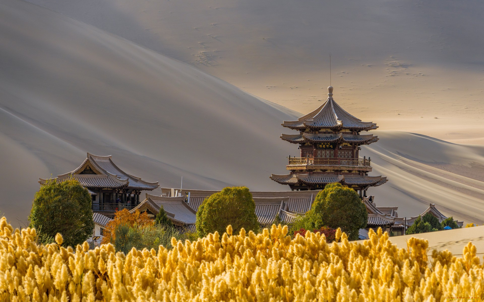 города, -, буддийские, и, другие, храмы, пейзаж