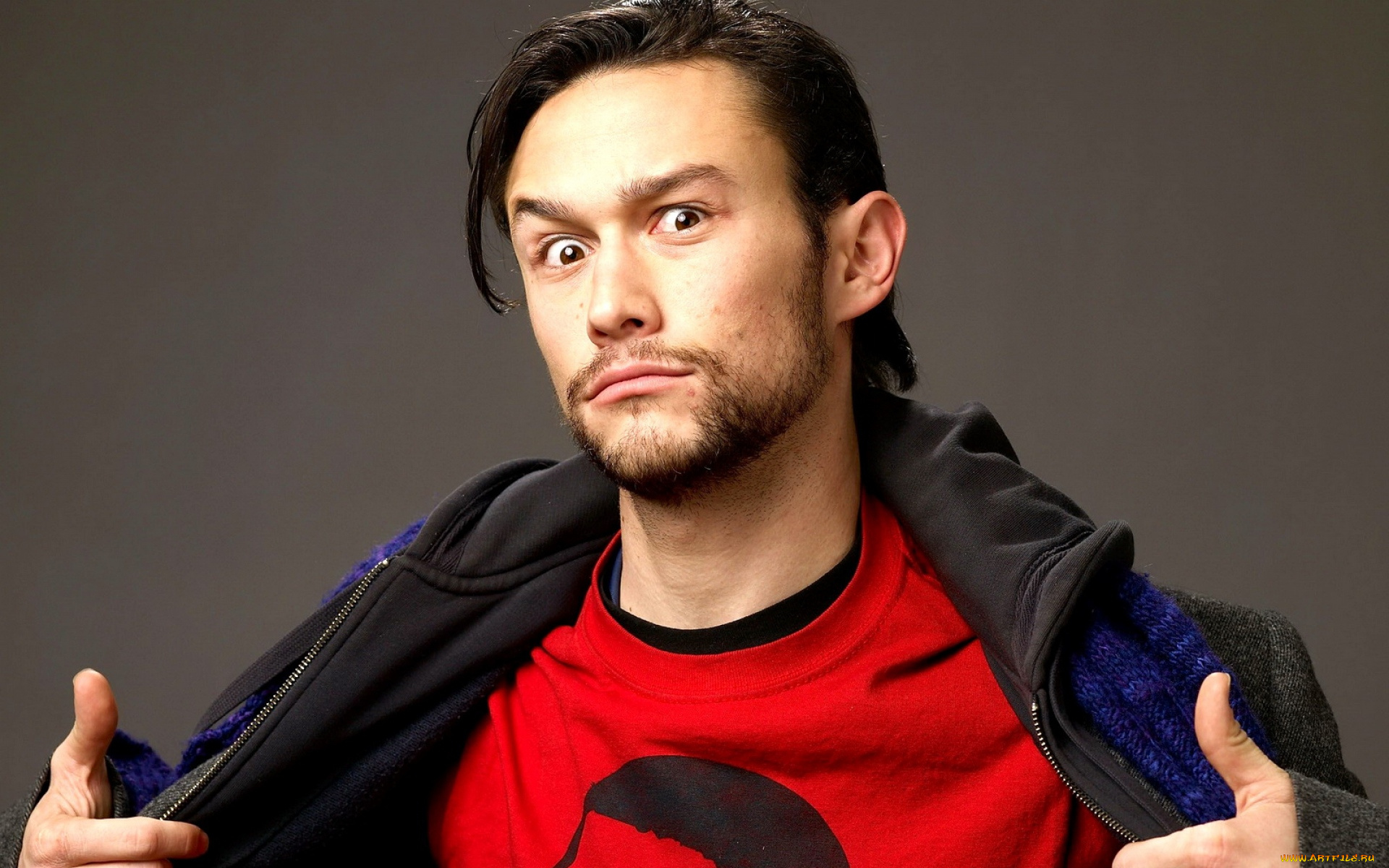 мужчины, joseph, gordon-levitt, актер, лицо, куртка