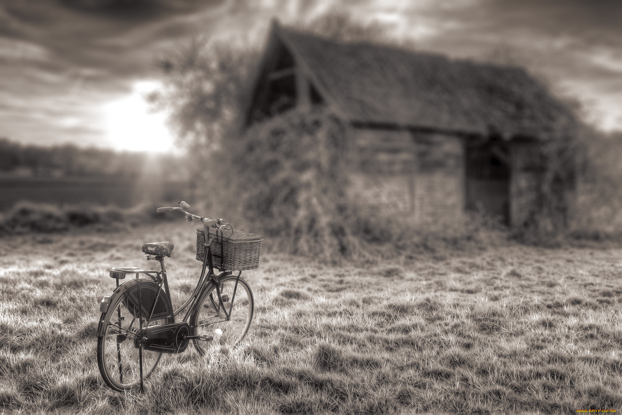 техника, велосипеды, велосипед