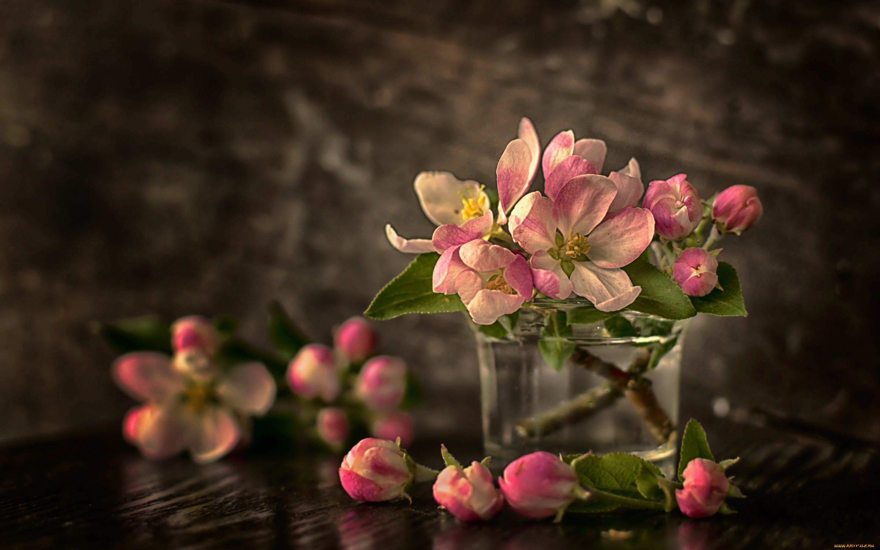 цветы, цветущие, деревья, , , кустарники, весна