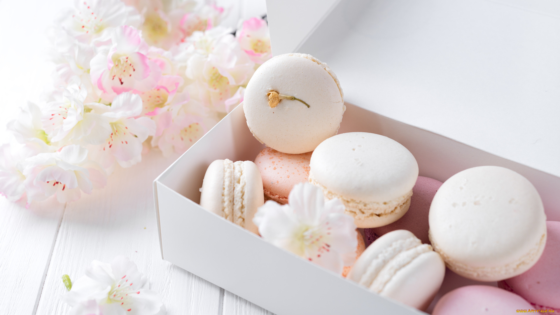 еда, макаруны, лакомство, ассорти