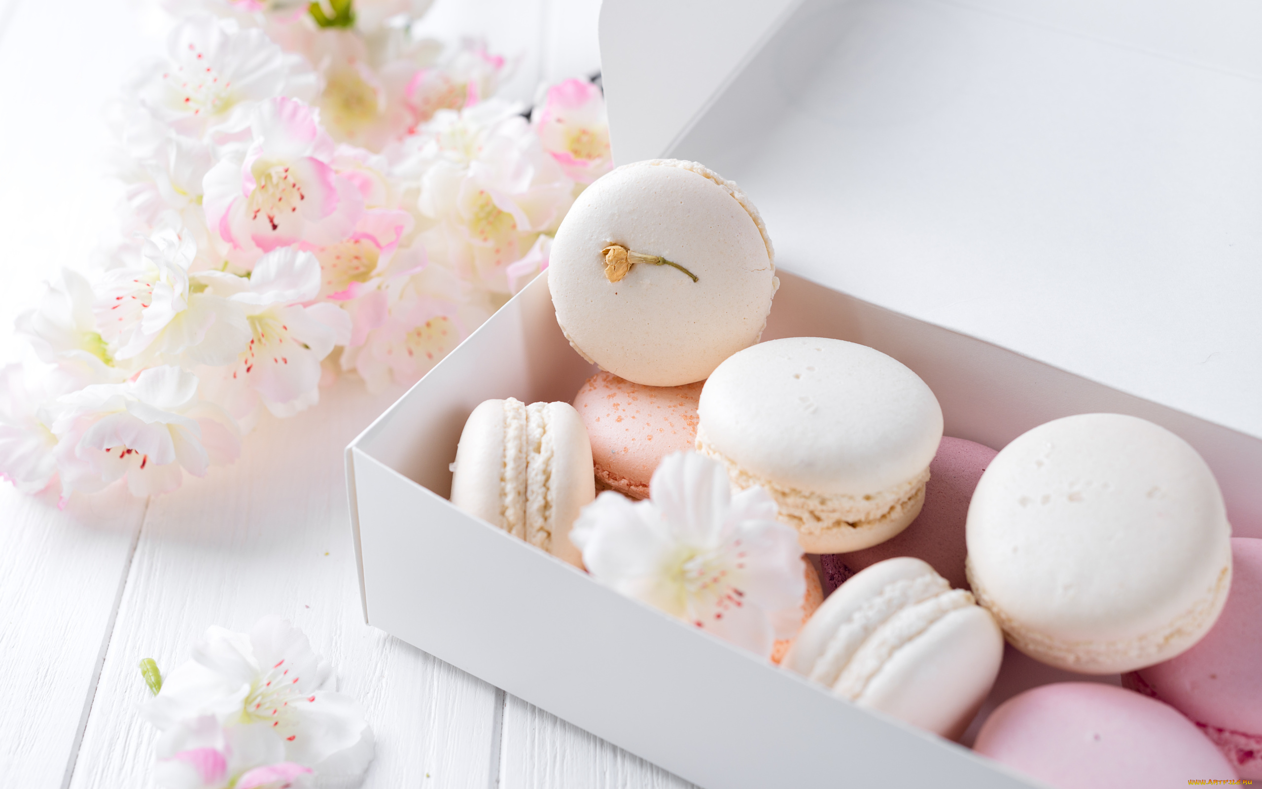 еда, макаруны, лакомство, ассорти