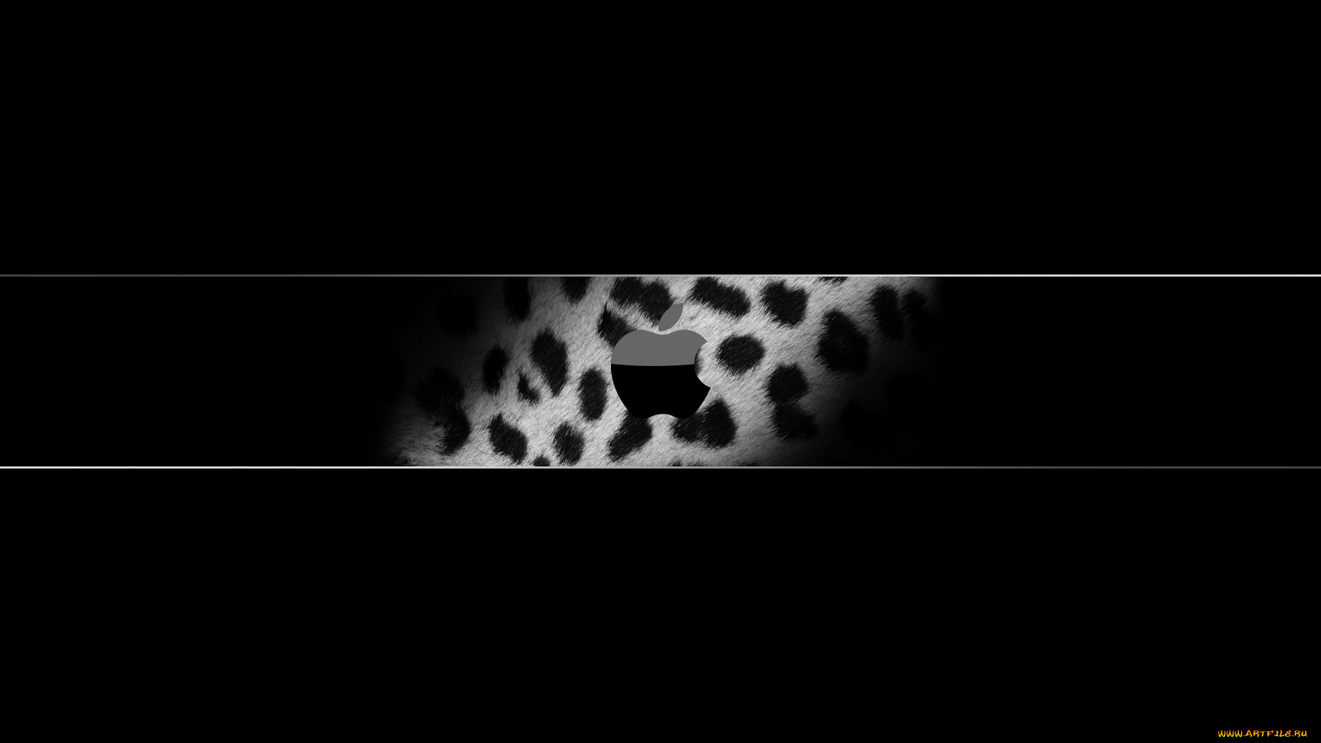 компьютеры, apple