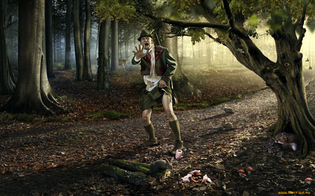 юмор, приколы