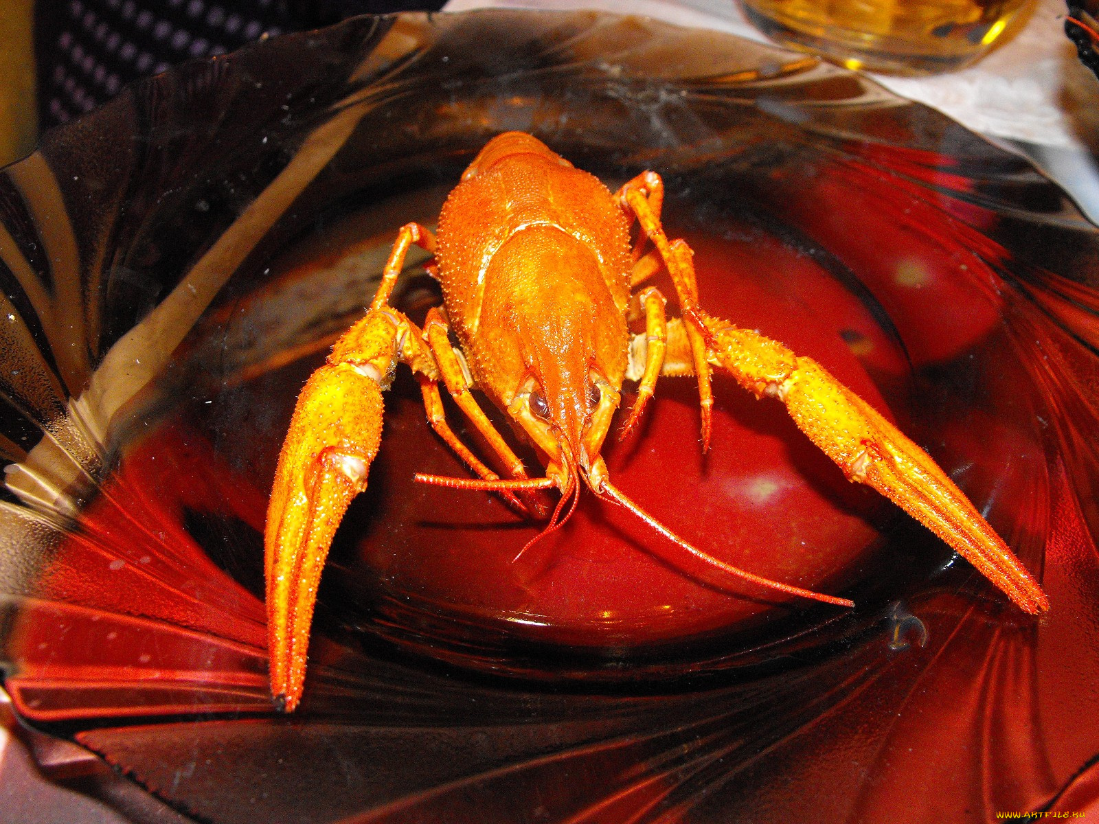 еда, рыба, морепродукты, суши, роллы