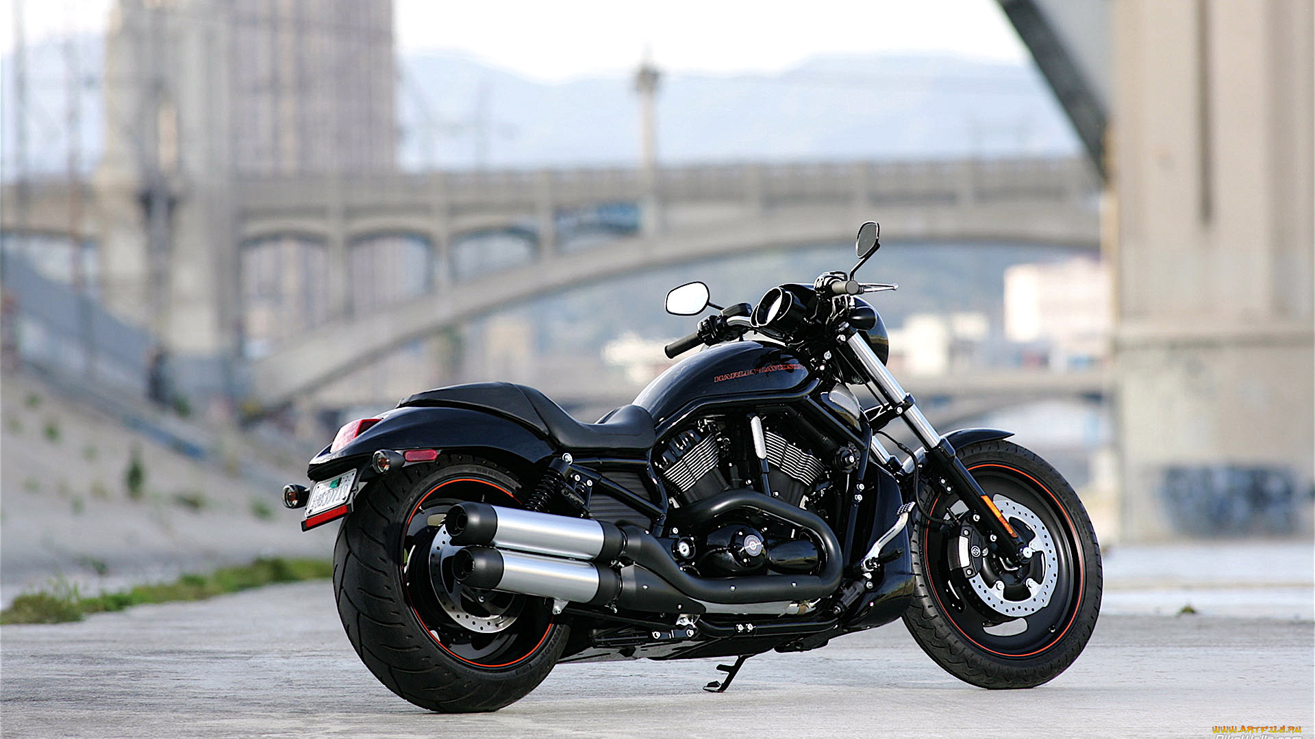 harley, davidson, vrscdx, мотоциклы