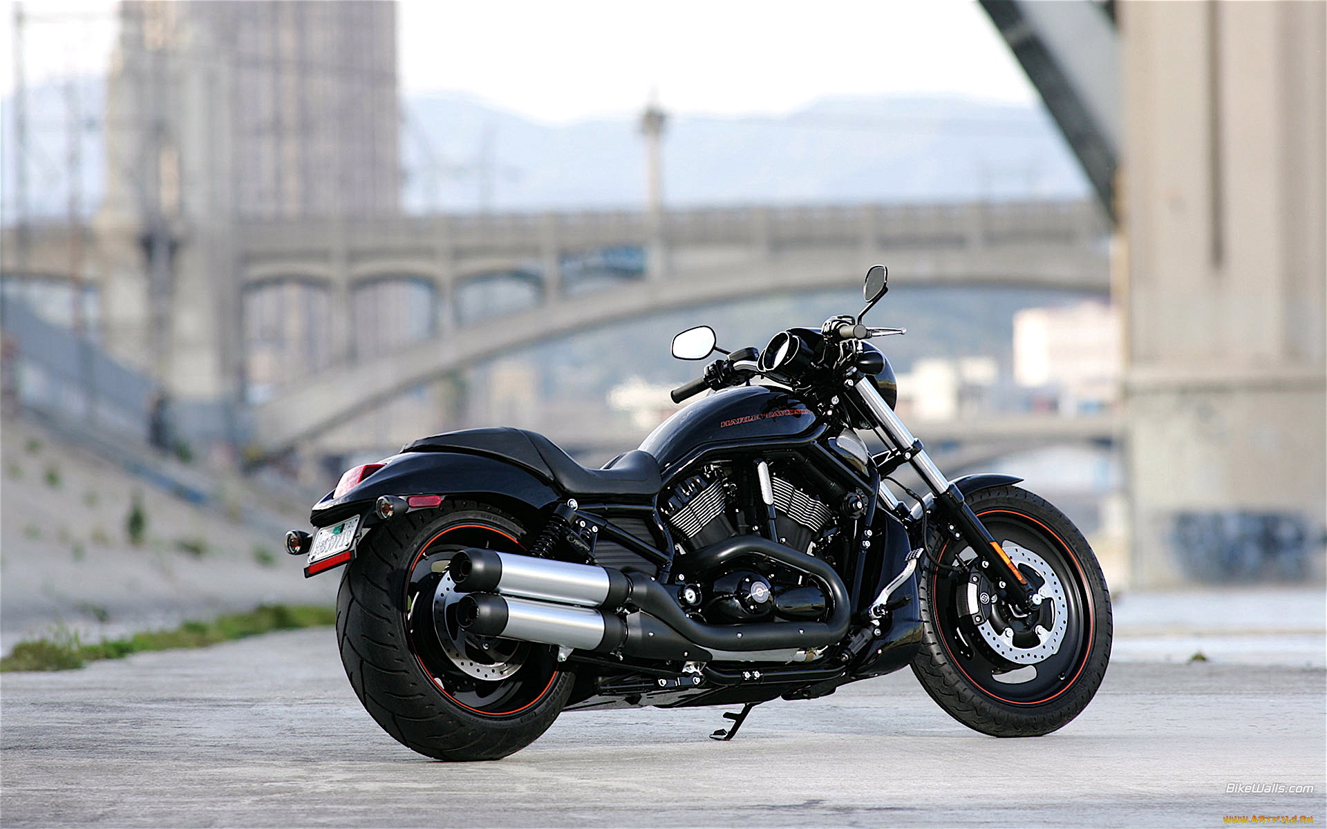 harley, davidson, vrscdx, мотоциклы