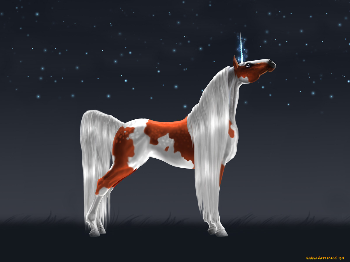 фэнтези, единороги, единорог, лошадь, конь, ночь