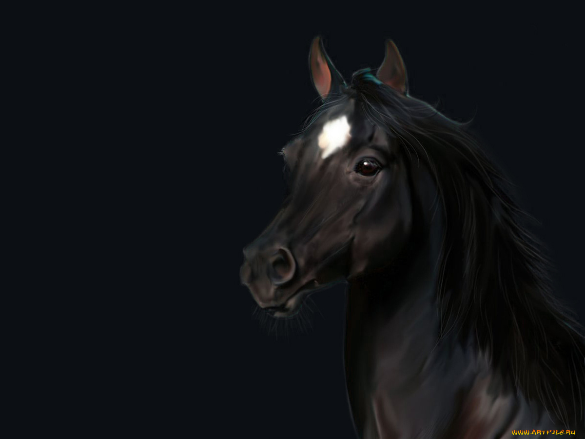 рисованные, животные, конь, лошадь