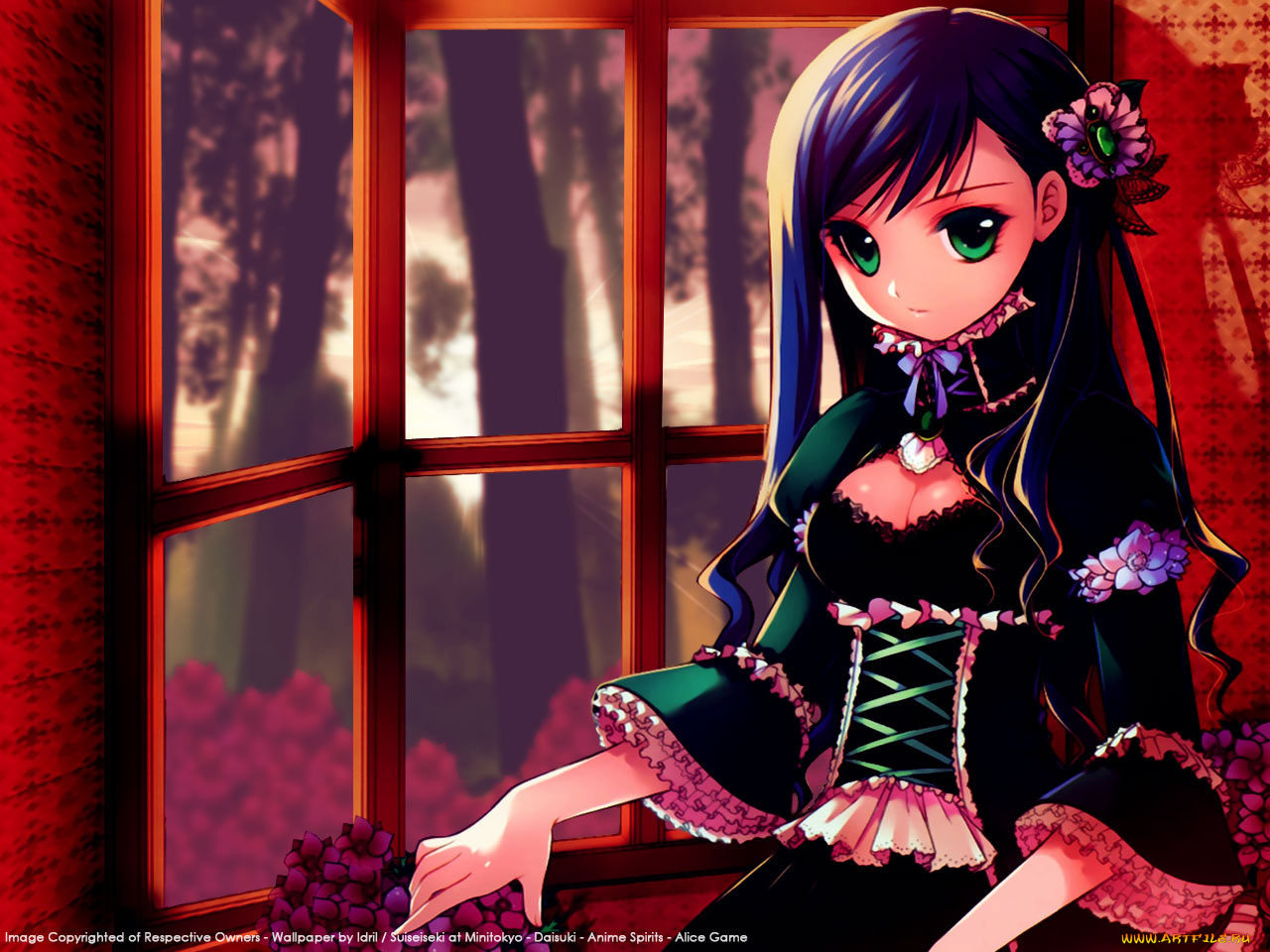 dmyo, mangaka, dmyotic, artbook, аниме