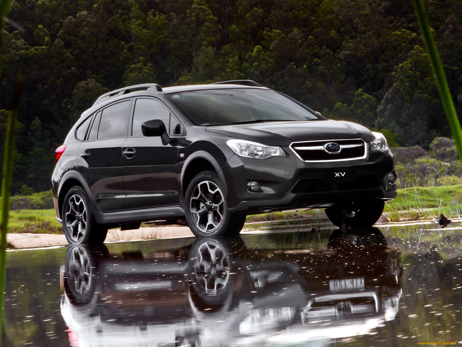 автомобили, subaru, xv