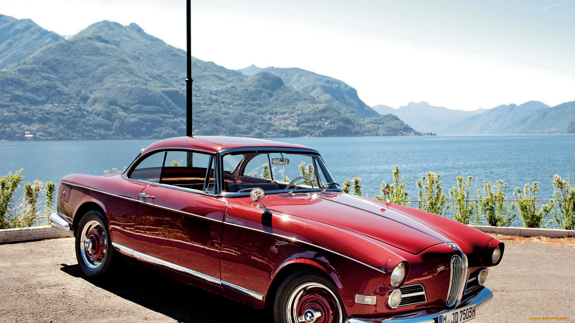 автомобили, bmw, 503