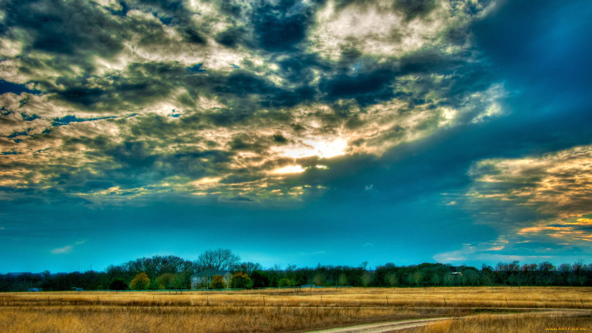 природа, дороги, поле