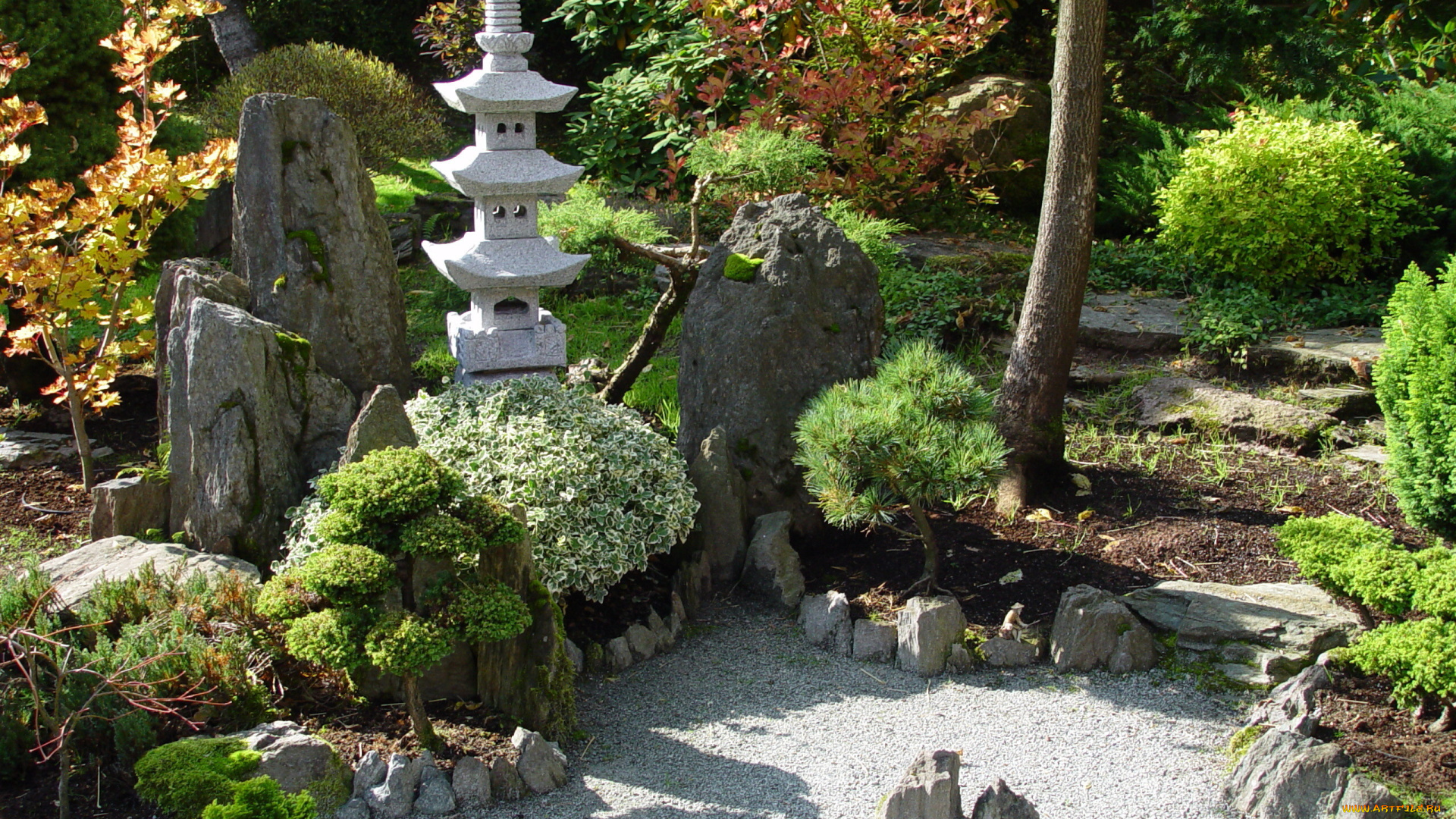 природа, парк, пагода, японский, сад, япония