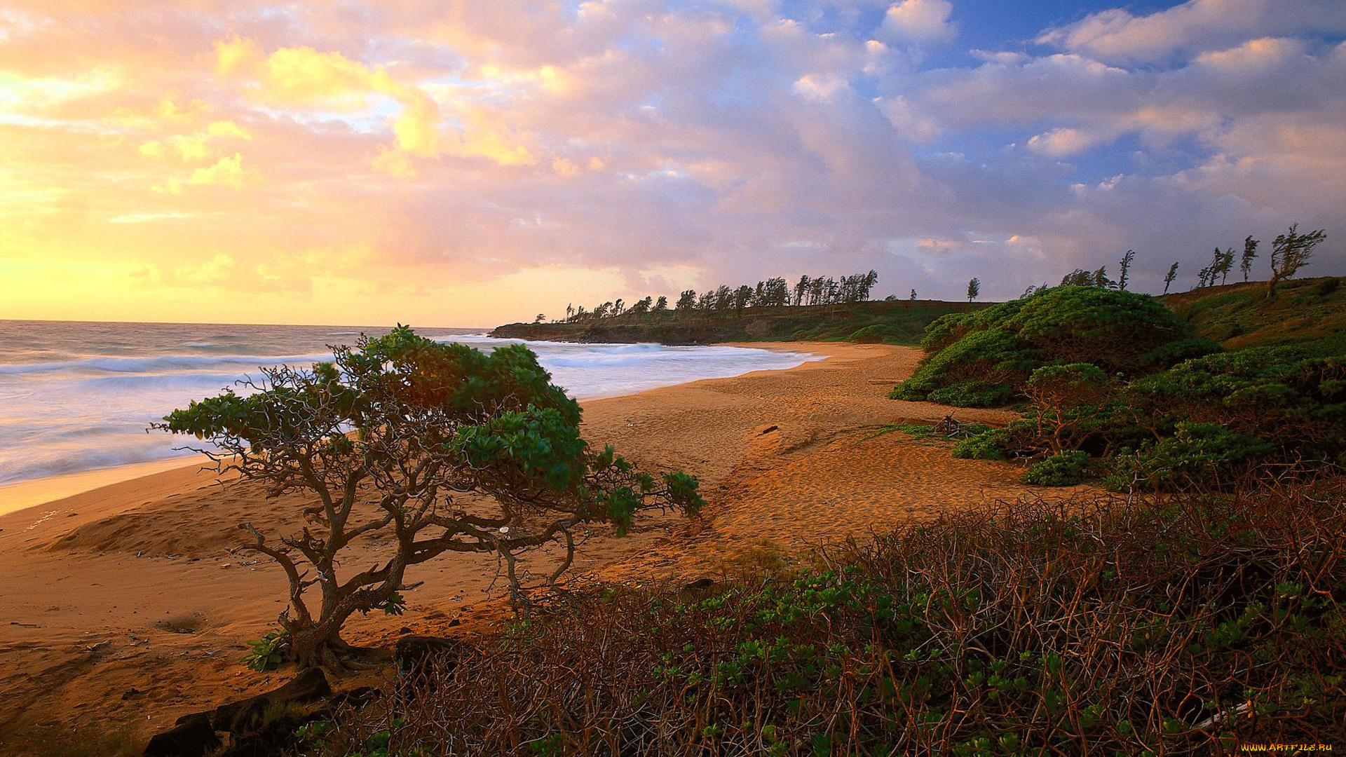 природа, побережье, берег, море, песок, волны