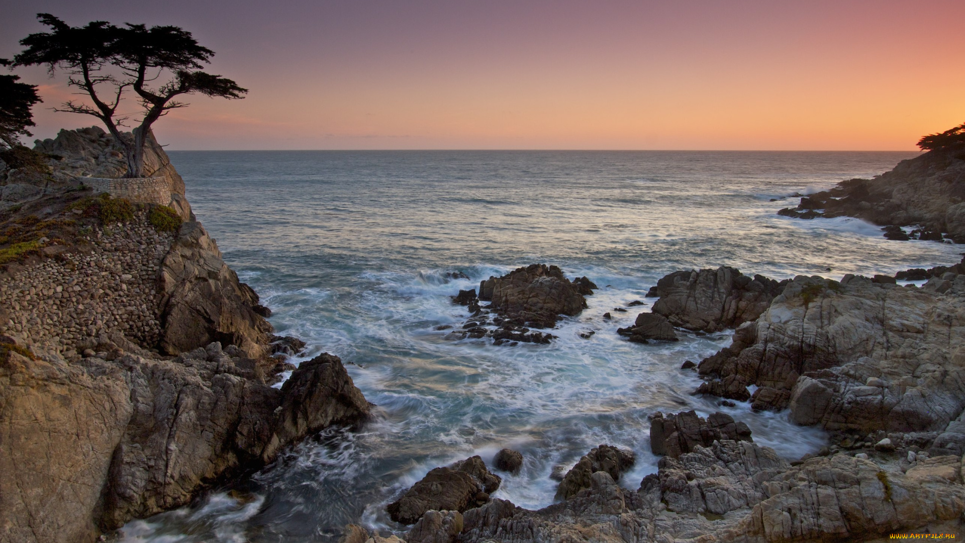 природа, побережье, море, скалы, камни, дерево, берег