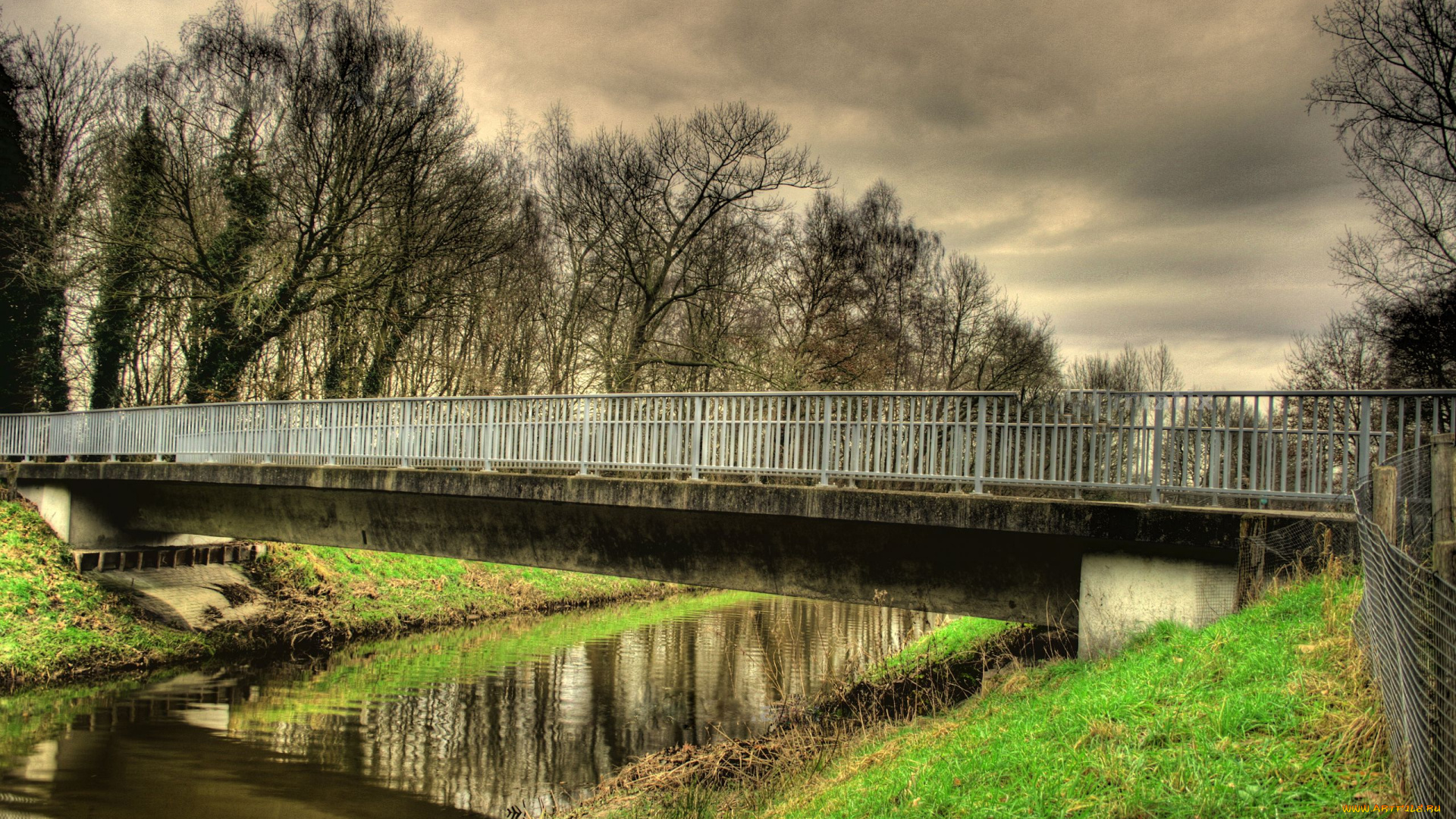 природа, реки, озера, мост