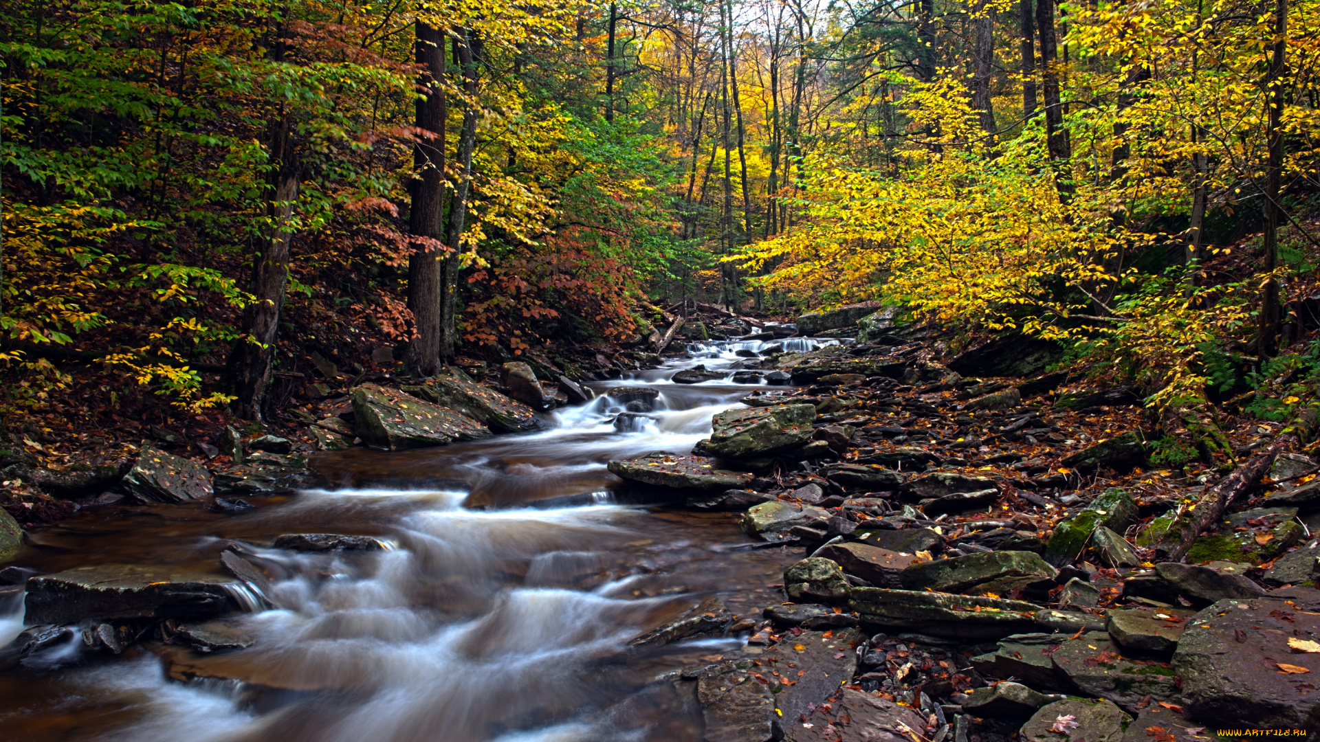 природа, реки, озера, pennsylvania, ricketts, glen, state, park