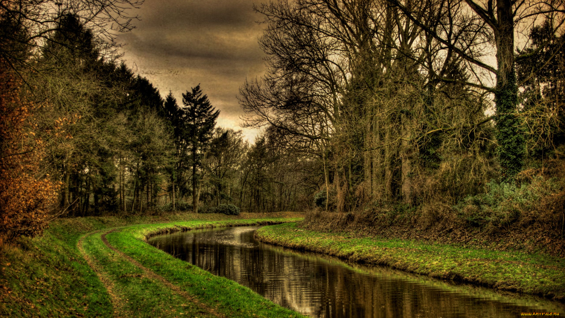 природа, реки, озера, river