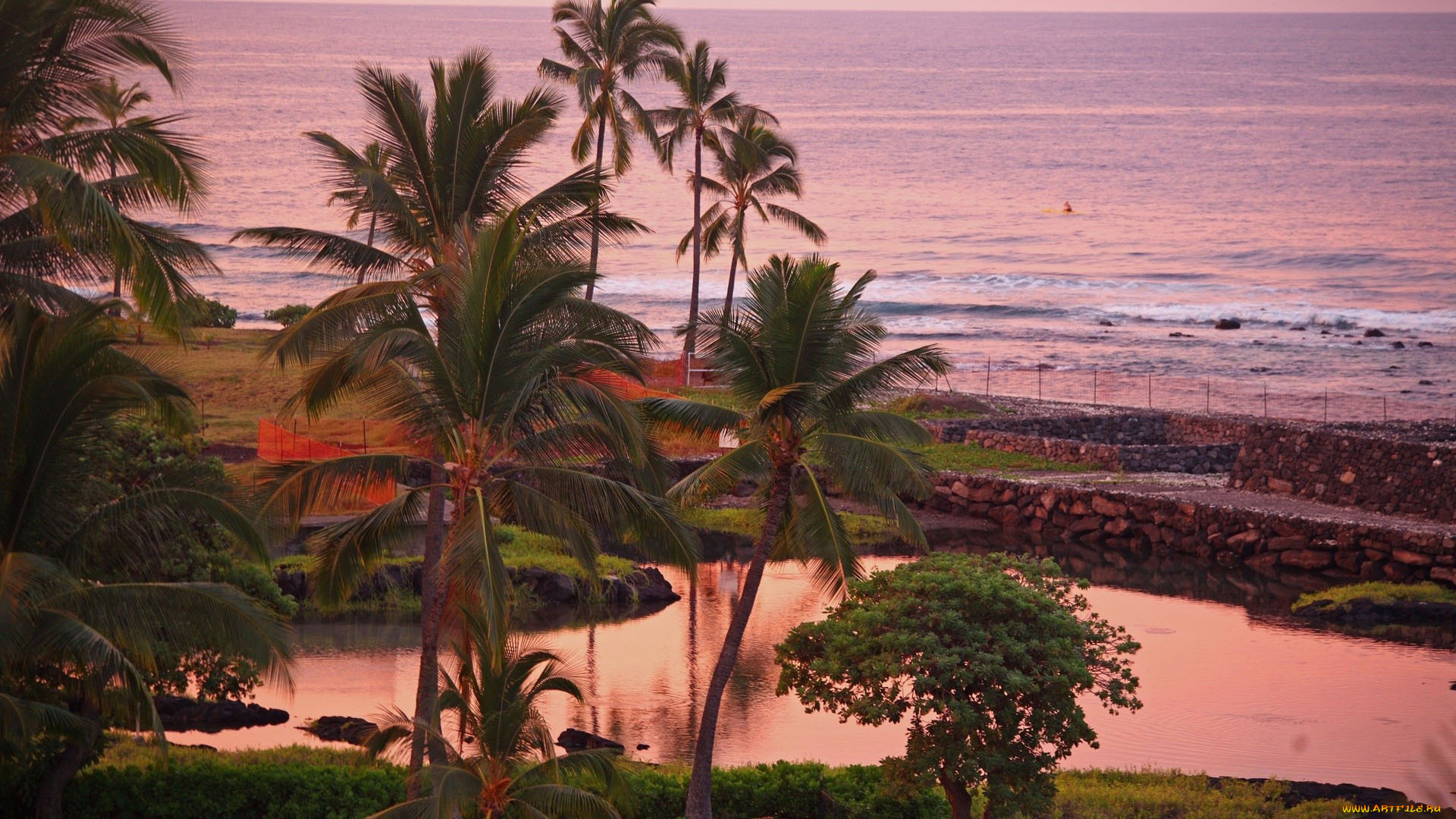природа, тропики, море, пальмы, закат