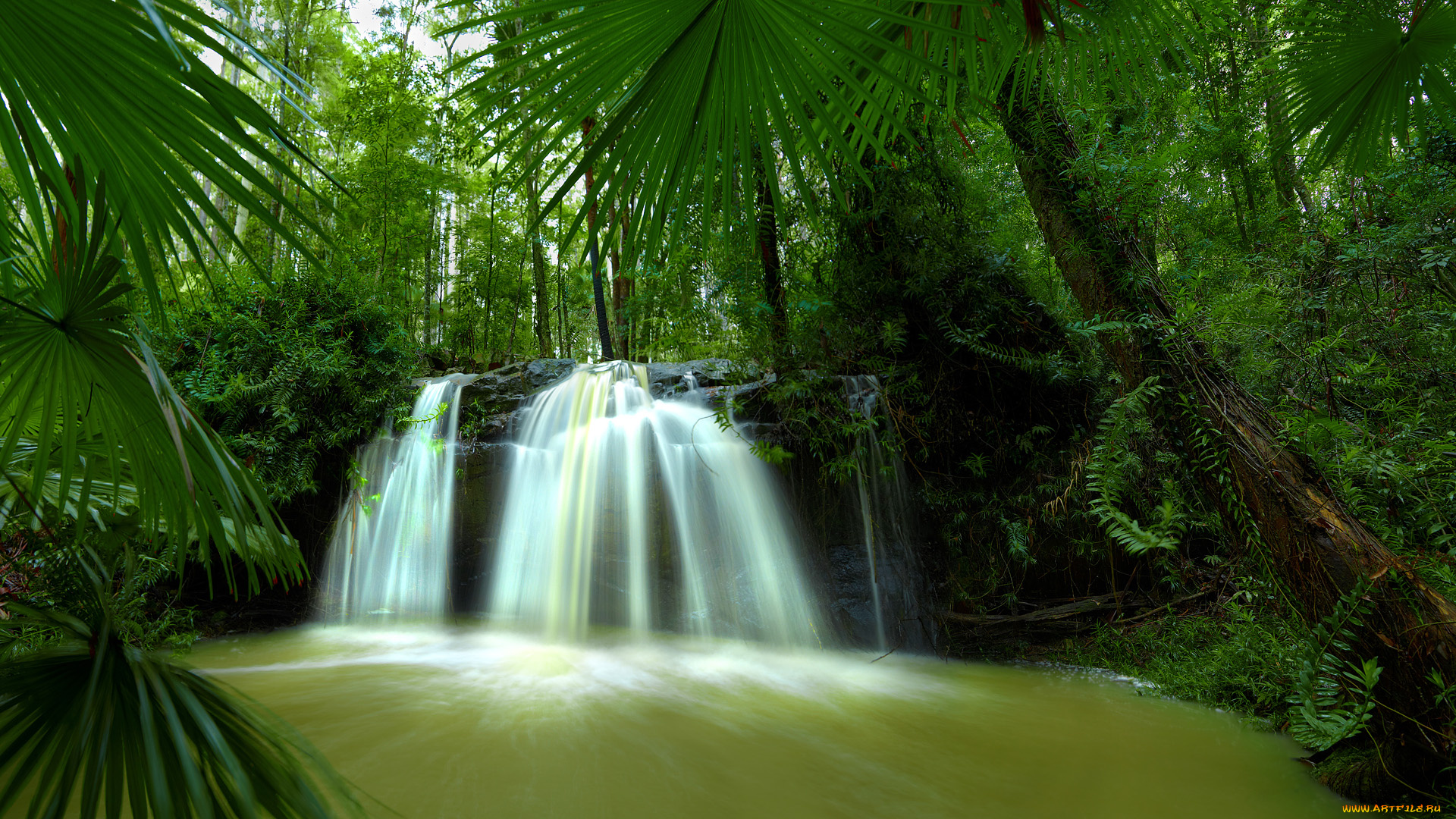 природа, водопады, джунгли, река, лес