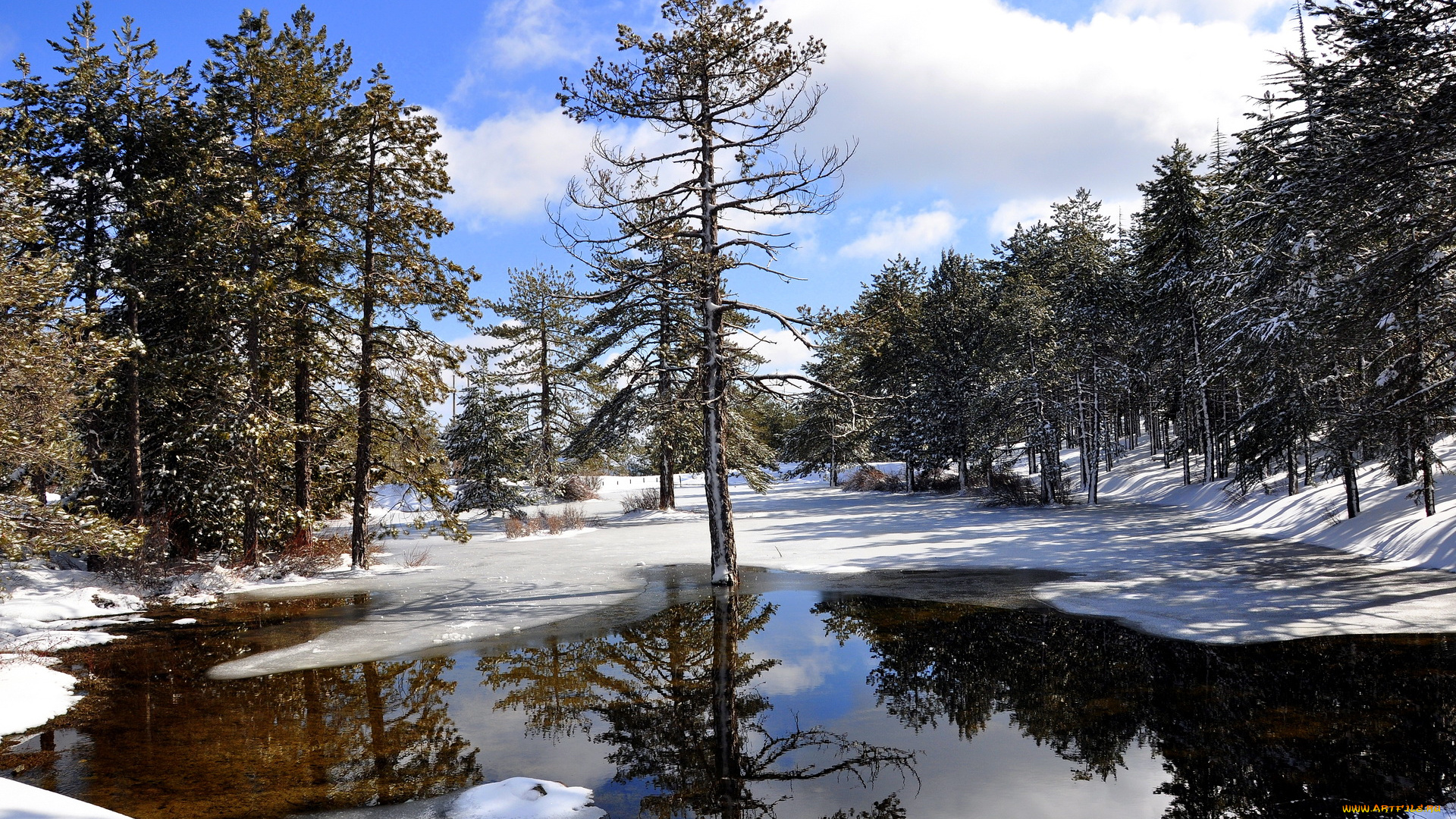 природа, зима, кипр, трудос