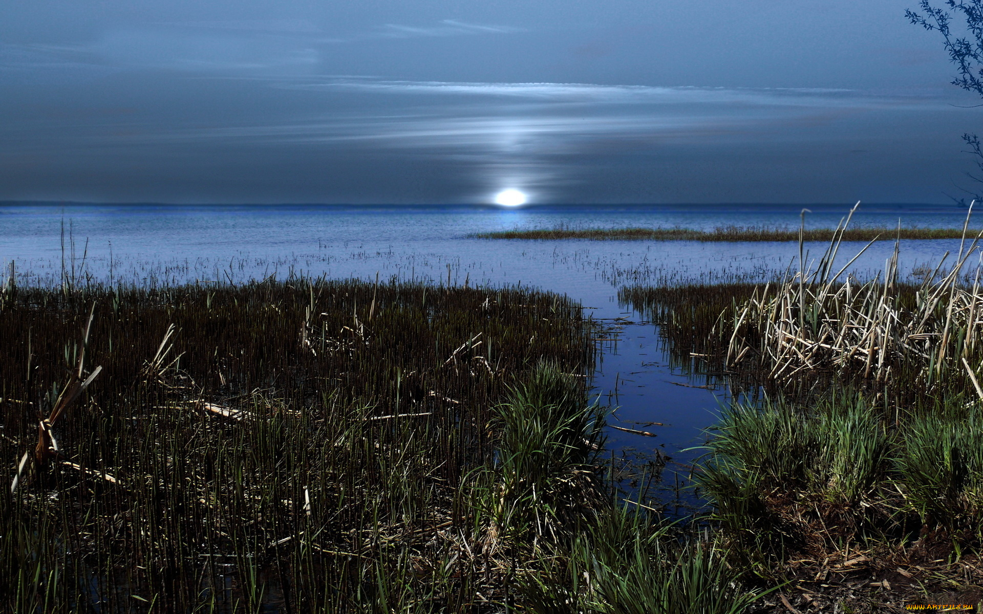 природа, восходы, закаты, тусклое, солнце, водоем, ночь