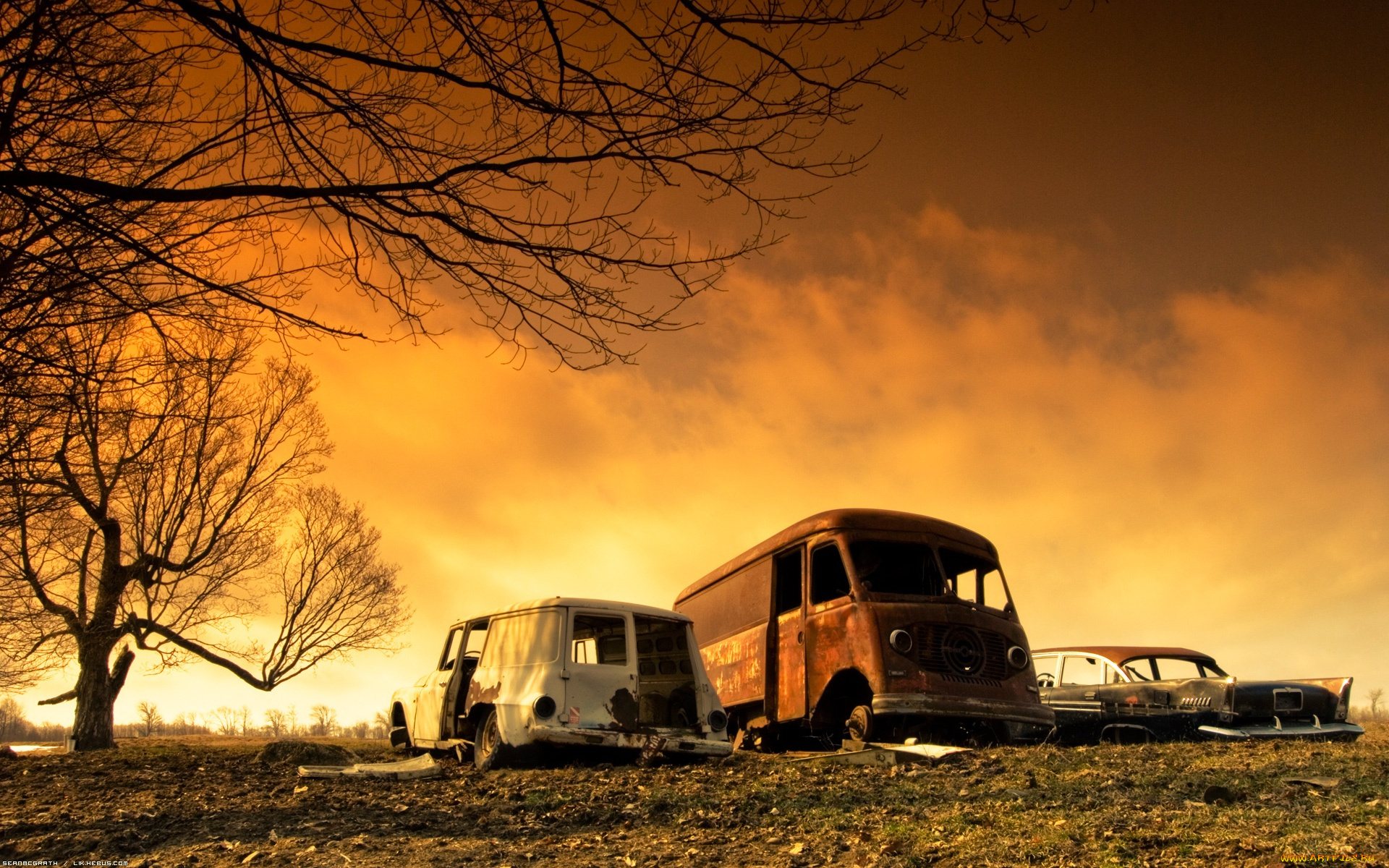 разное, развалины, руины, металлолом, поле, железный, хлам, деревья, небо