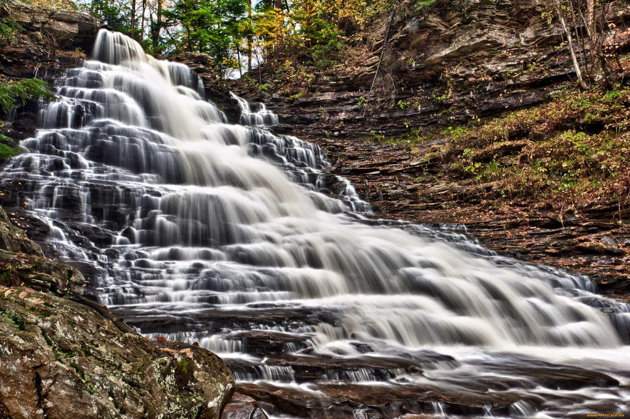 природа, водопады, ricketts, glen, state, park, pennsylvania