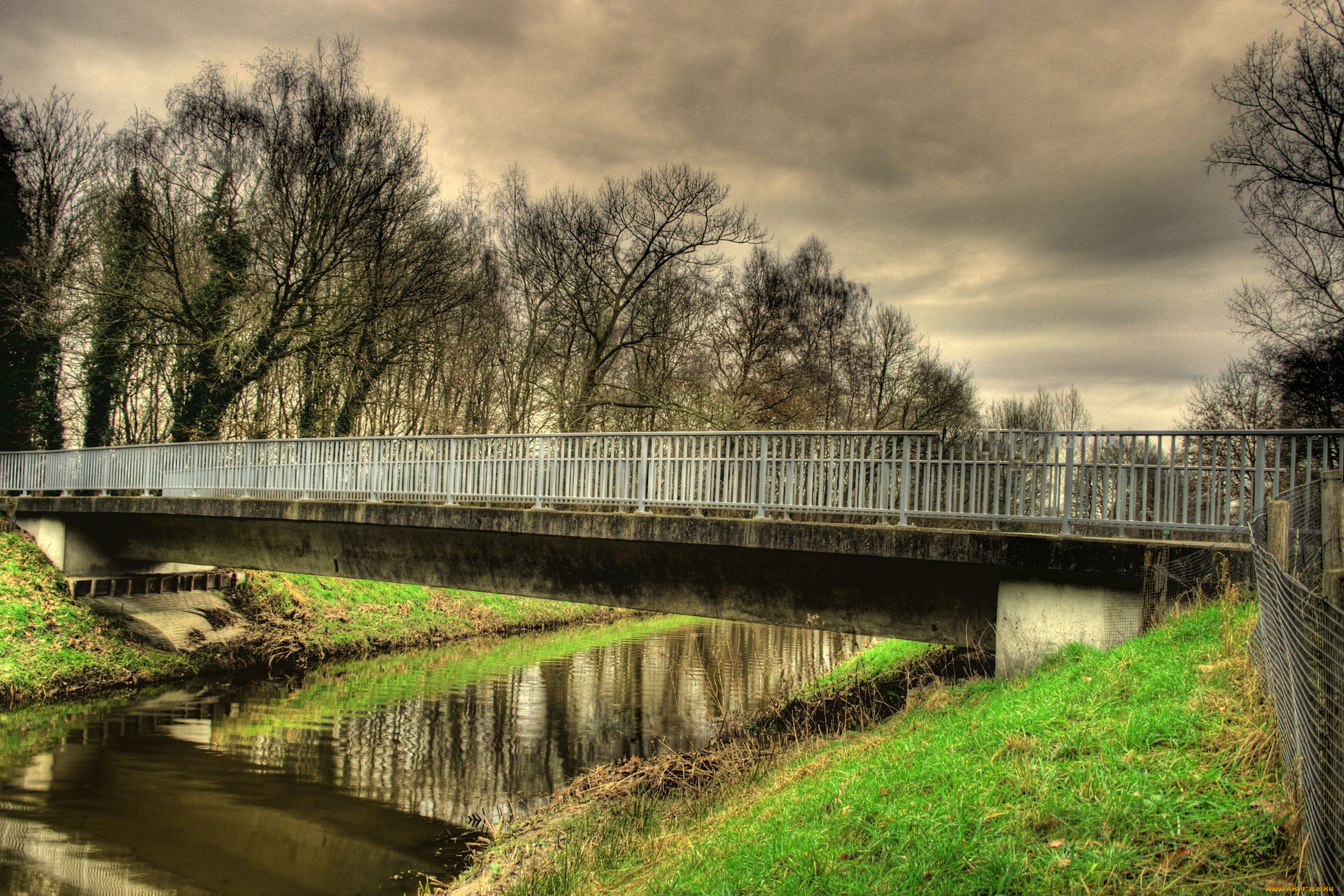 природа, реки, озера, мост