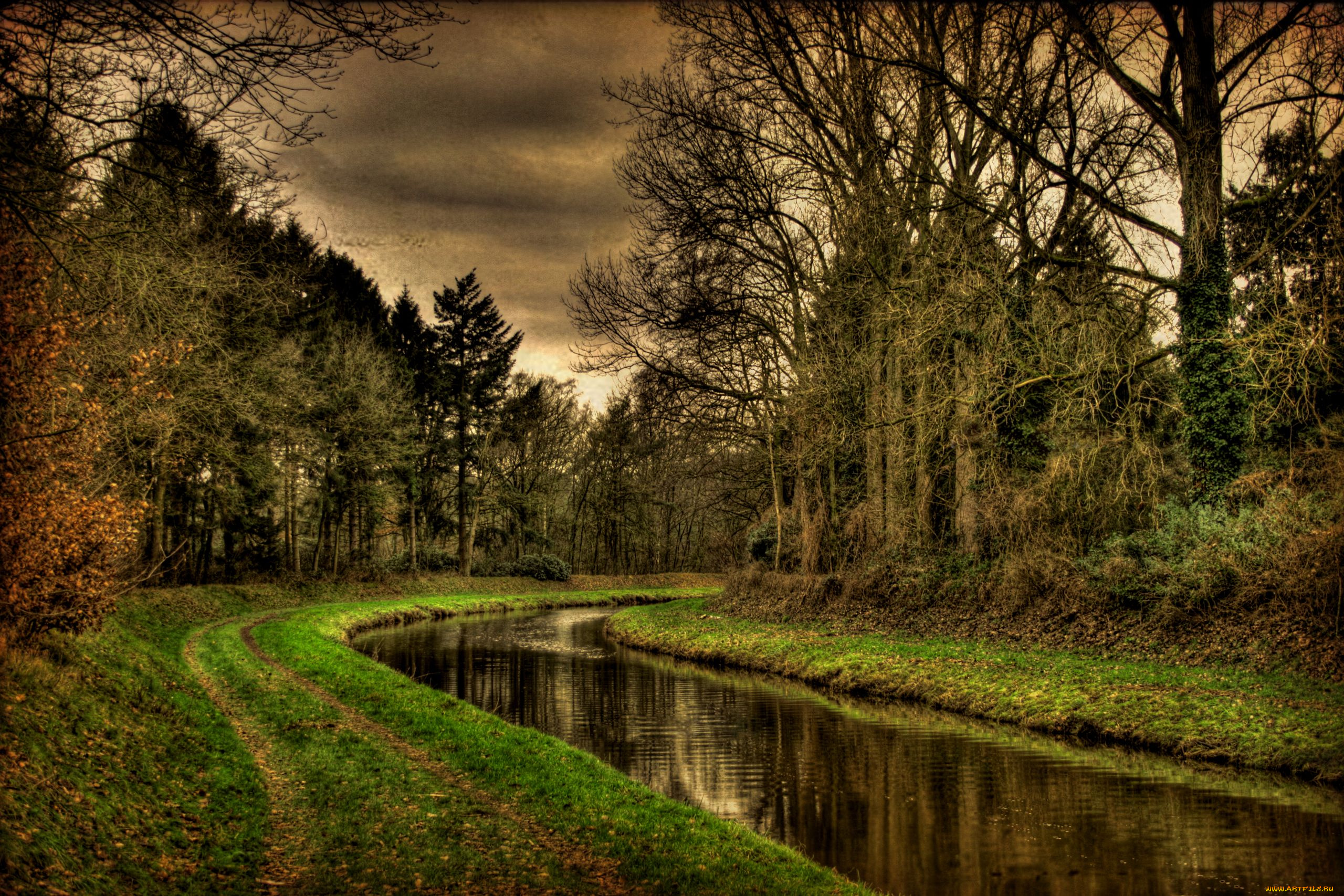 природа, реки, озера, river