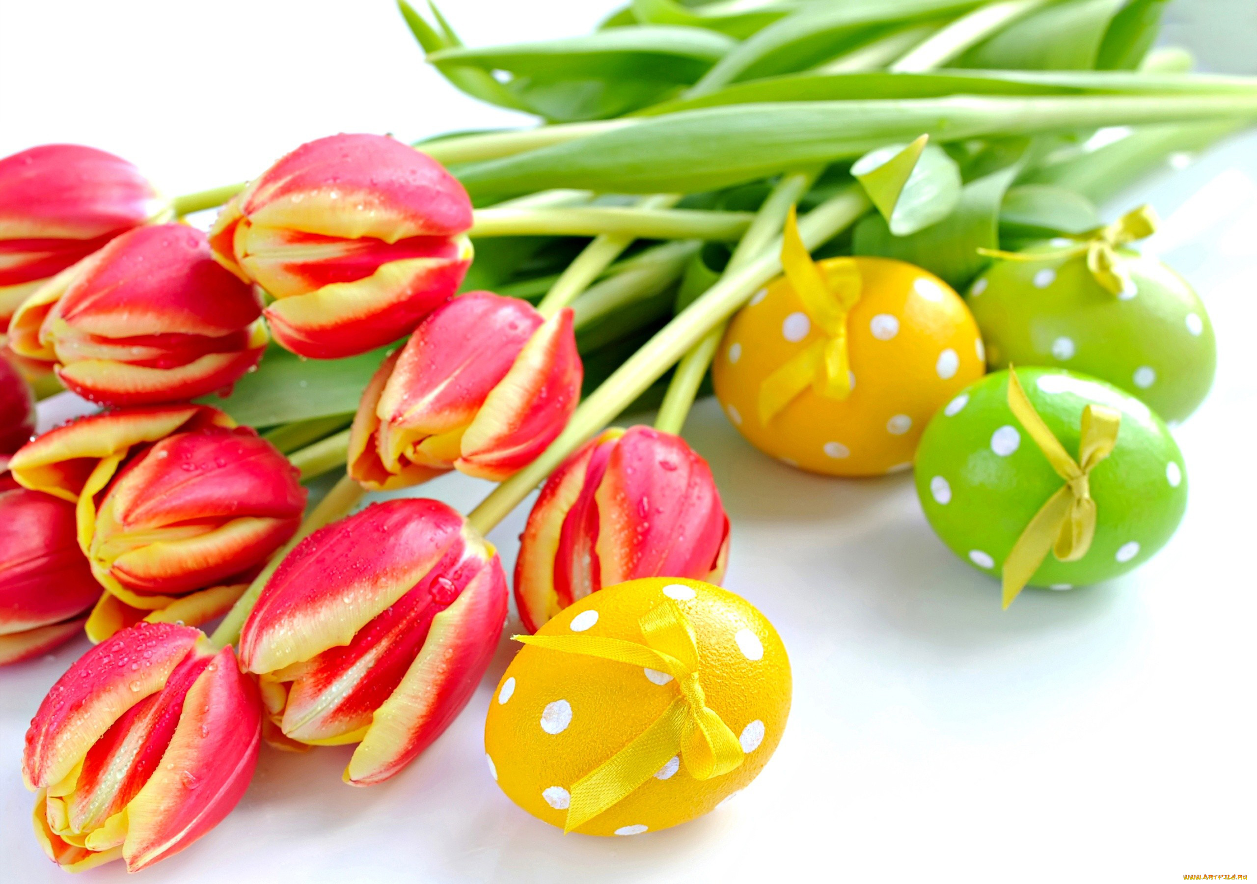 праздничные, пасха, тюльпаны, яйца, бантики