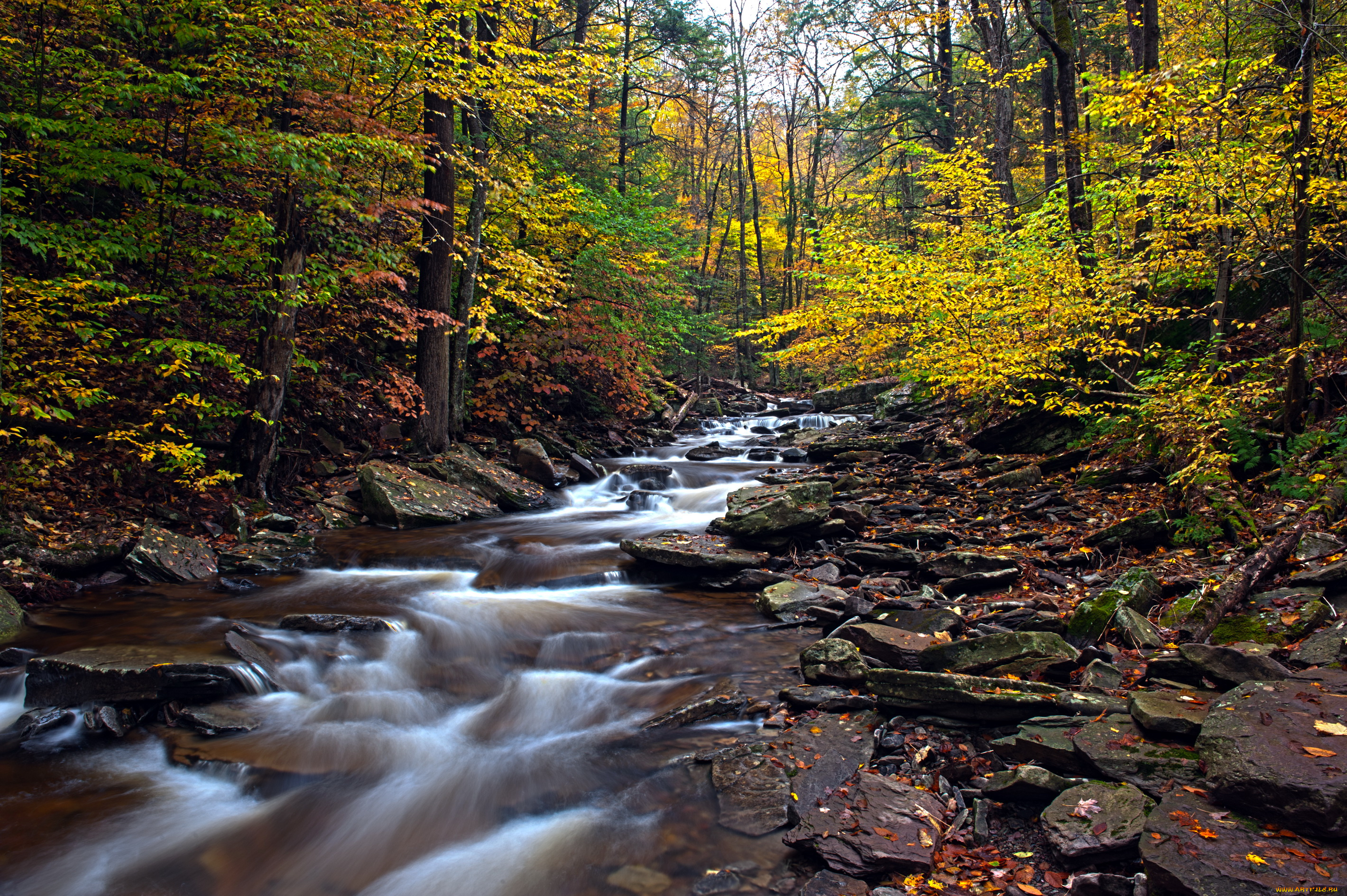 природа, реки, озера, pennsylvania, ricketts, glen, state, park