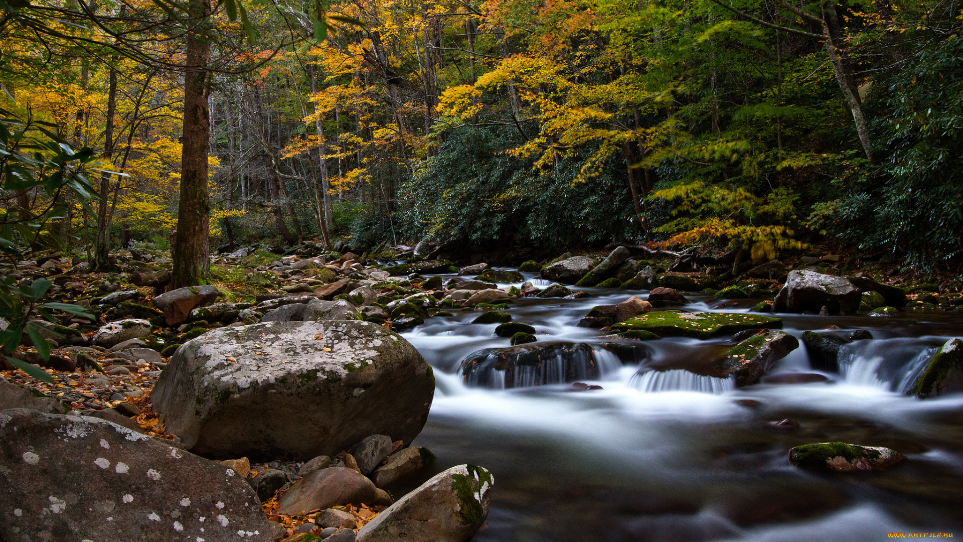 big, creek, природа, реки, озера, осень, камни, река, лес, краски