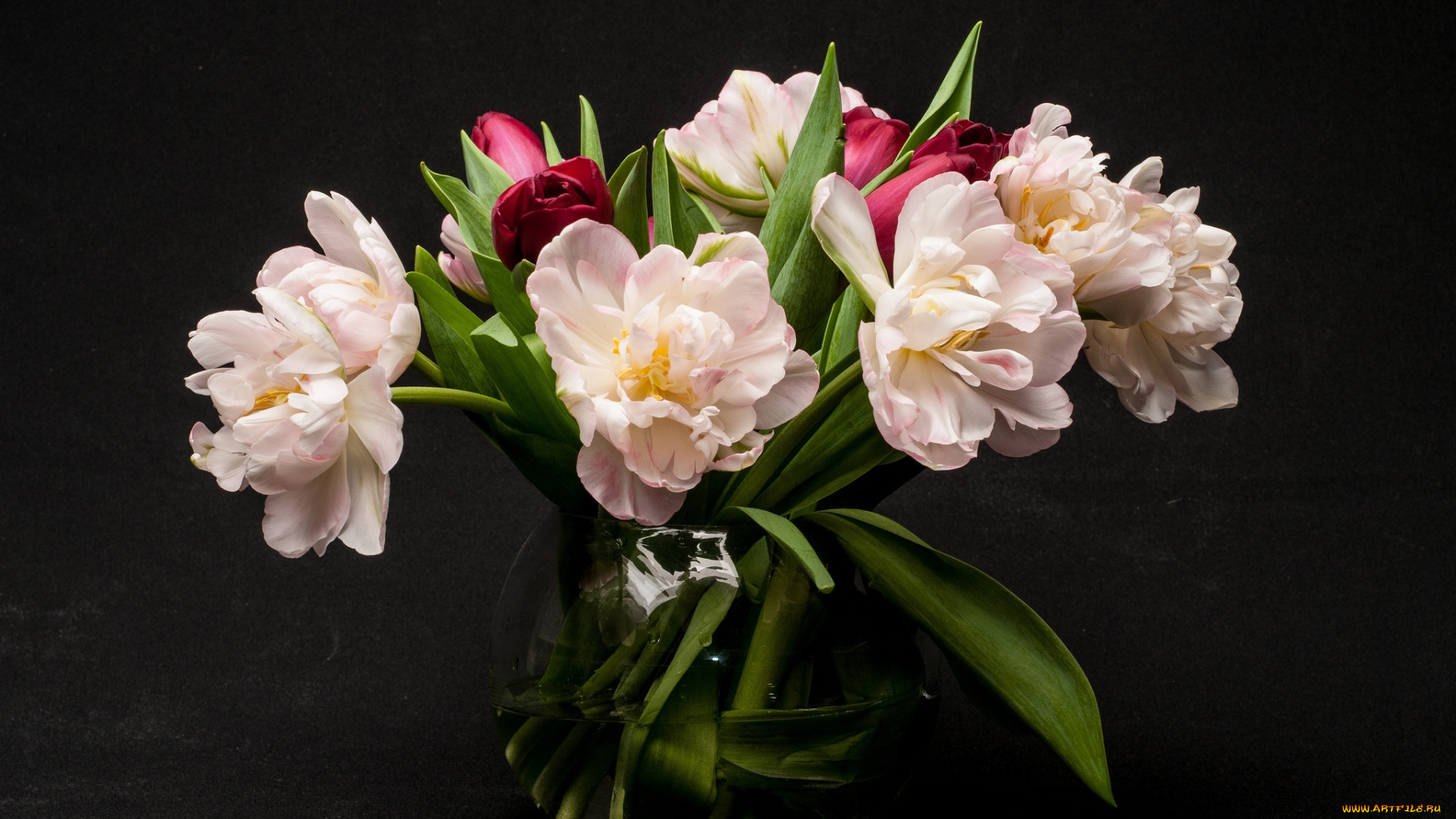 цветы, тюльпаны, букет