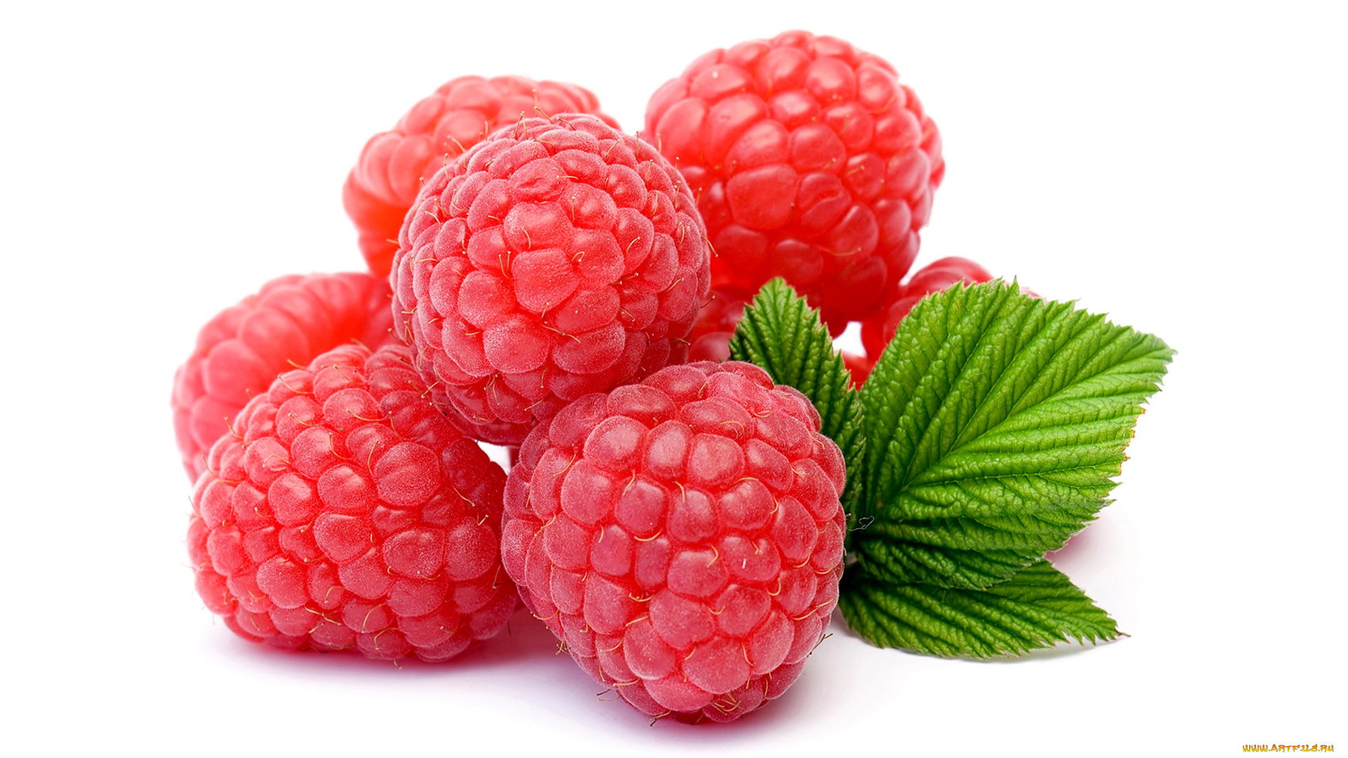 еда, малина, ягода, листья