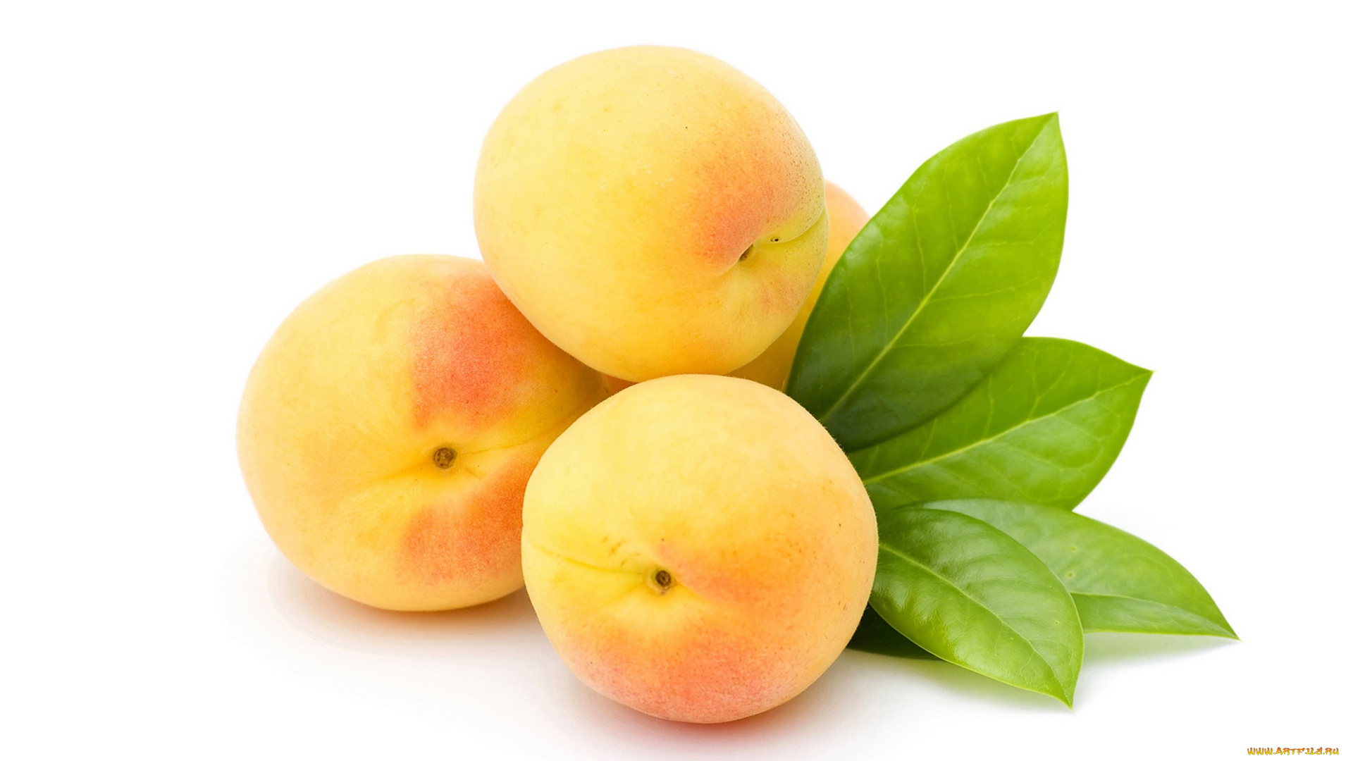 еда, персики, , сливы, , абрикосы, абрикос, листья