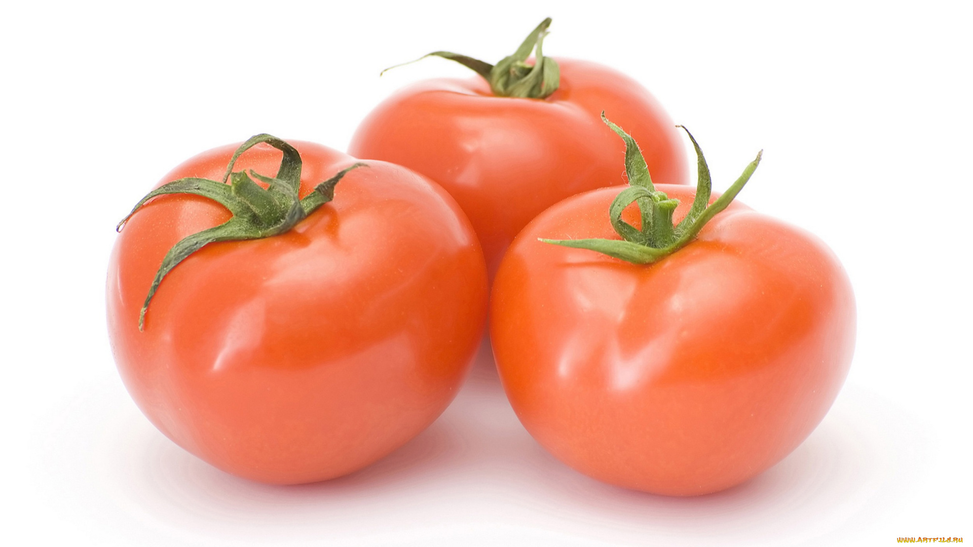 еда, помидоры