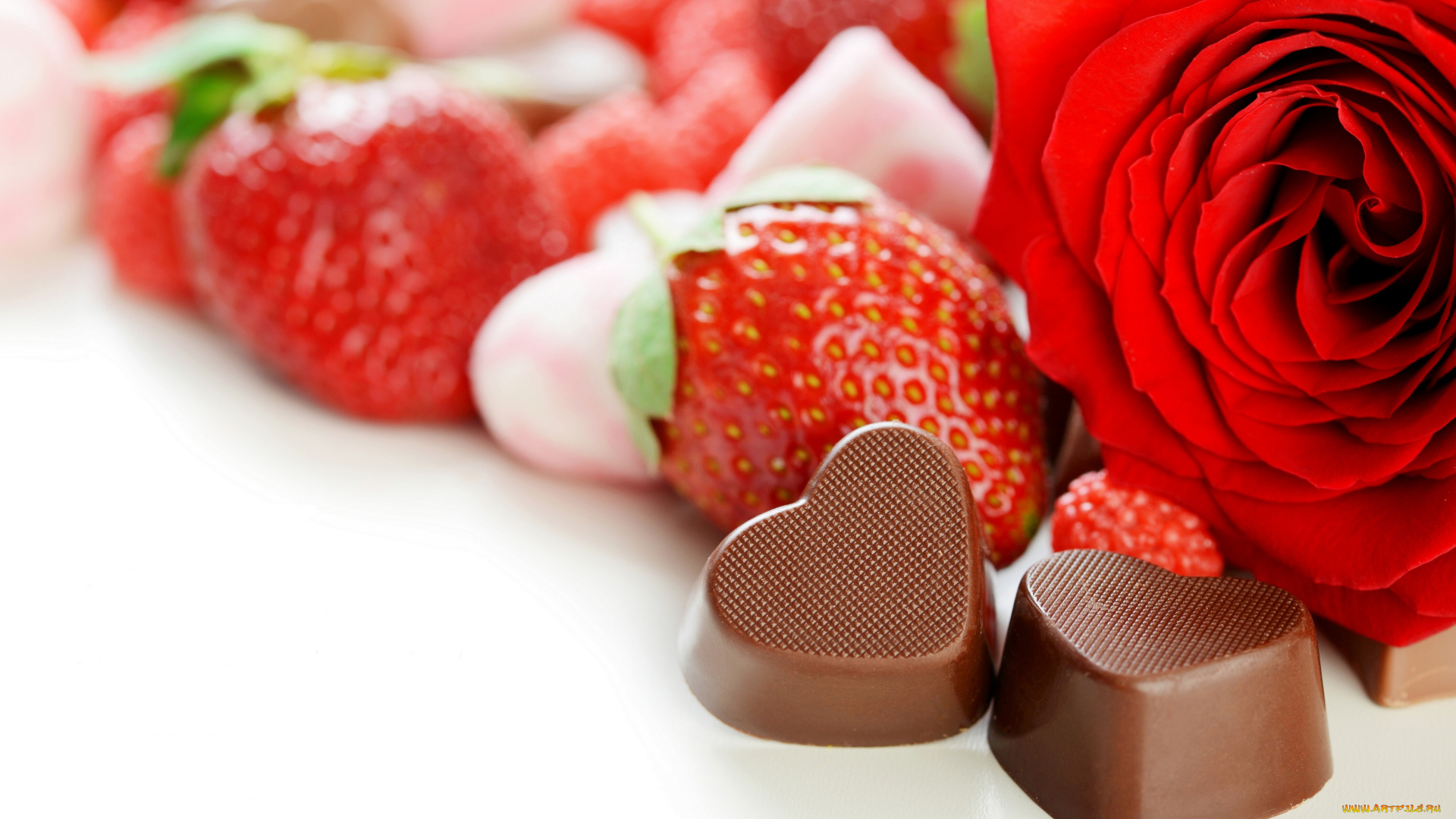 еда, разное, клубника, конфеты, цветок, роза, ягоды
