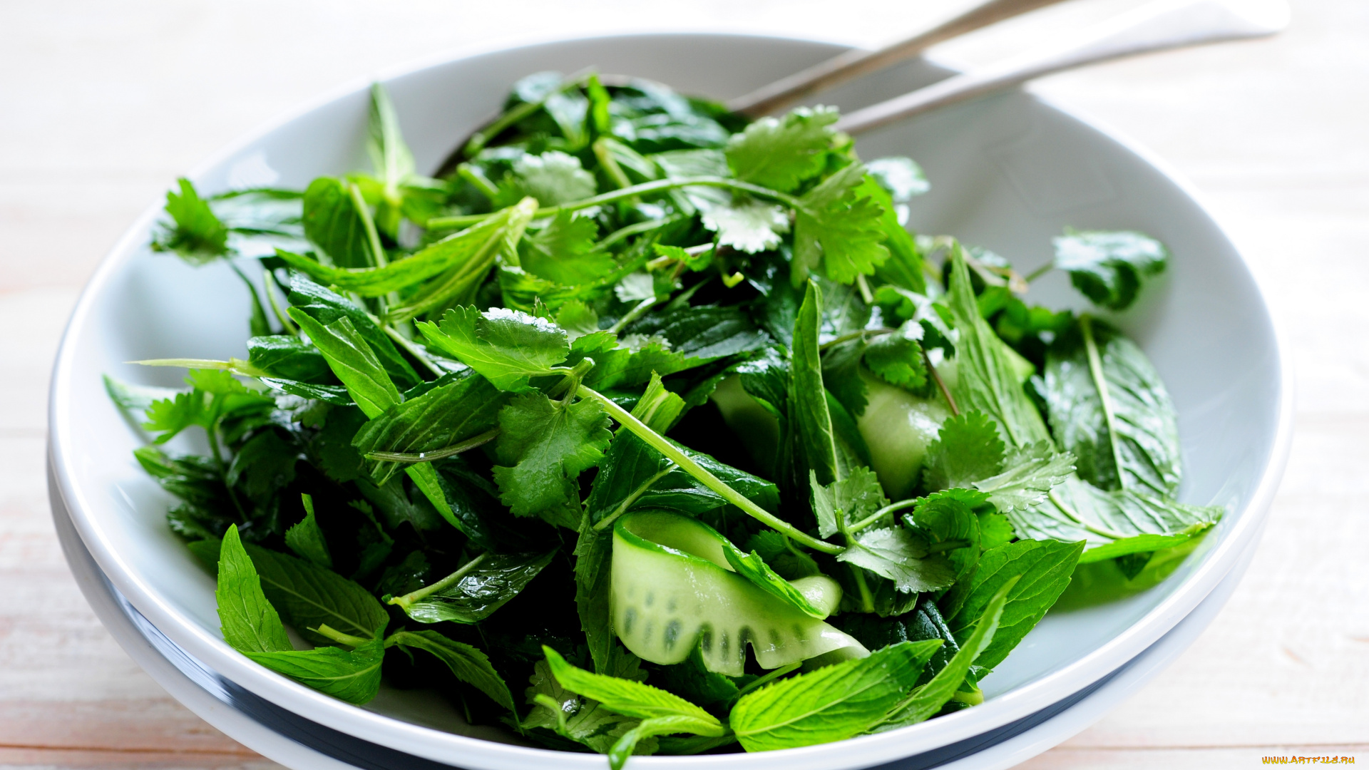 еда, салаты, , закуски, зеленый, салат