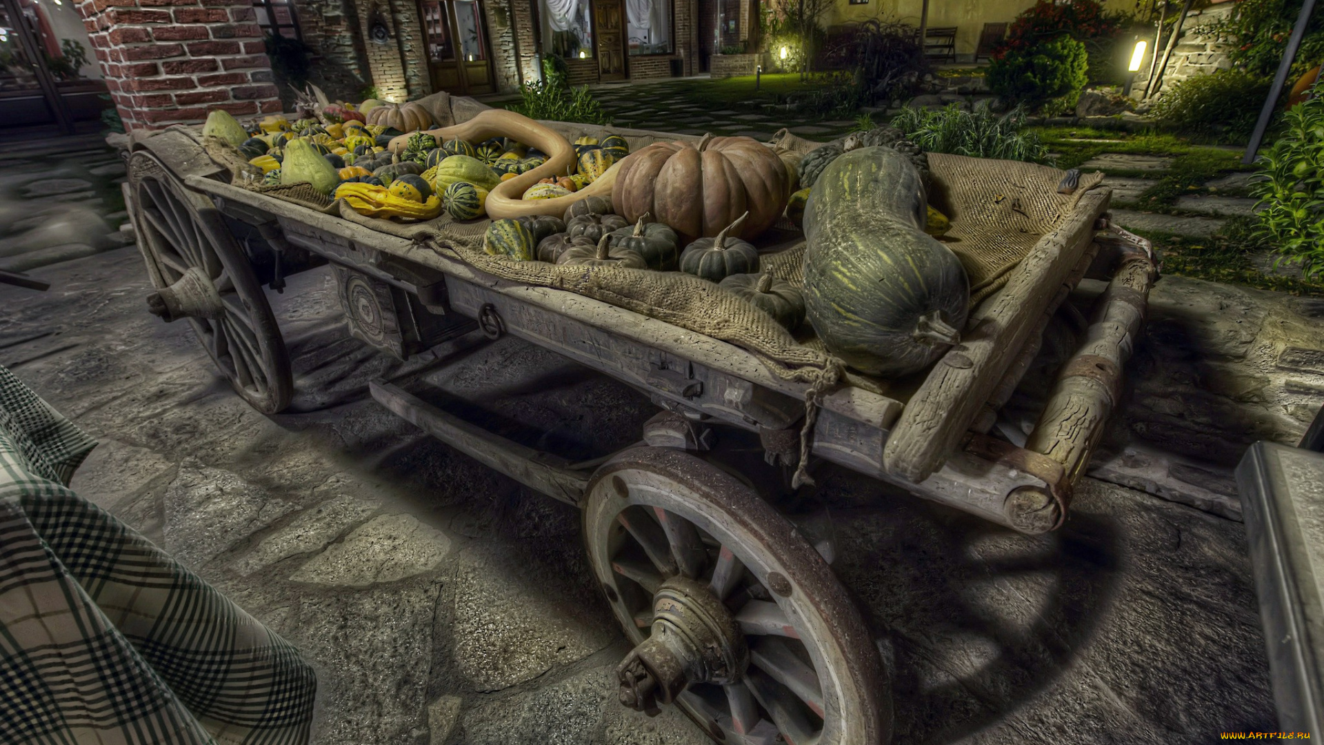 еда, тыква, урожай, телега, ночь, двор
