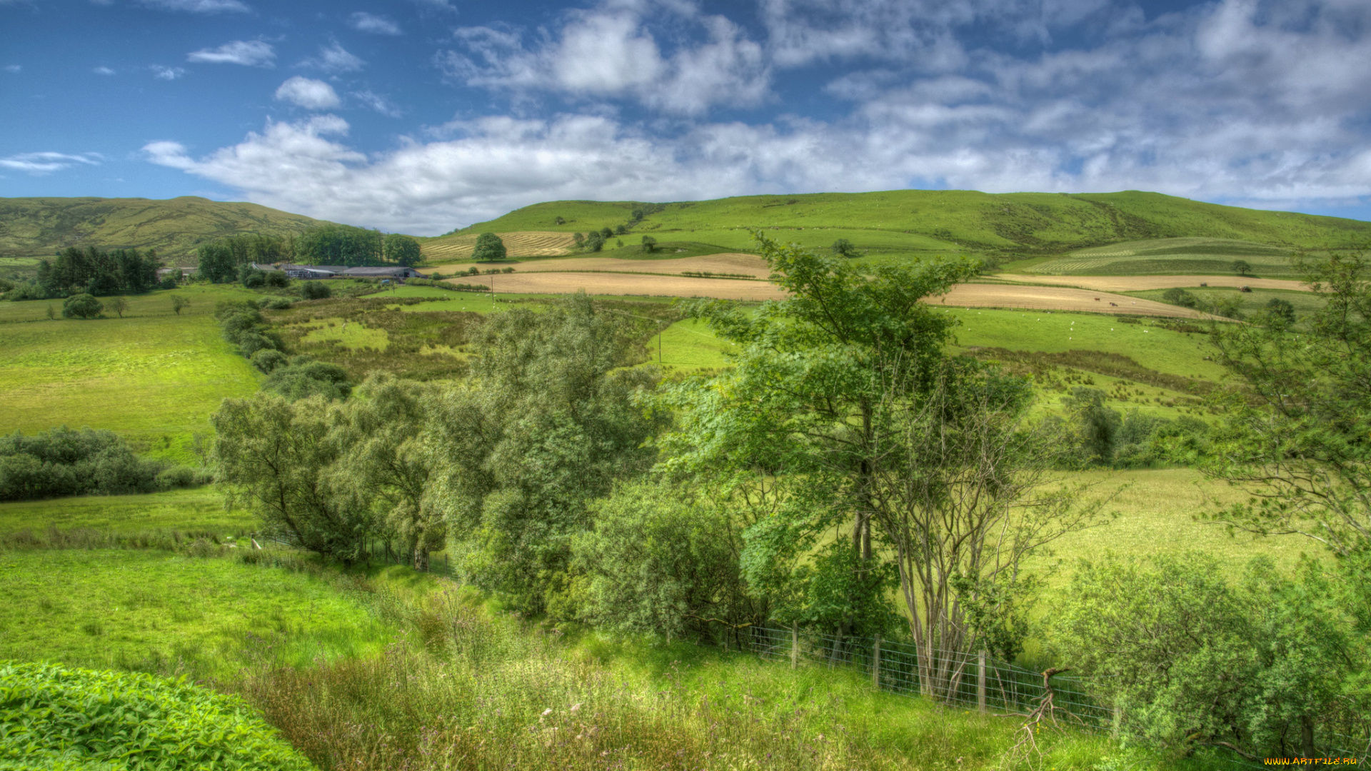 природа, пейзажи, равнина, холмы, луга